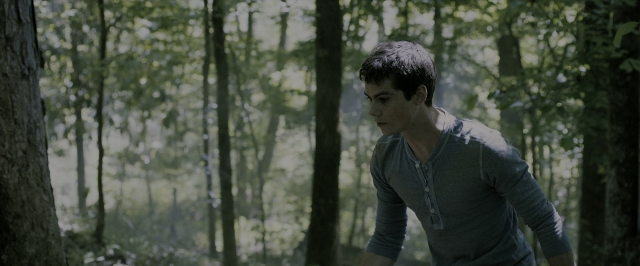 seria-57766.jpg