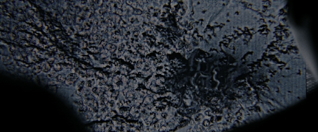 seria-70487.jpg