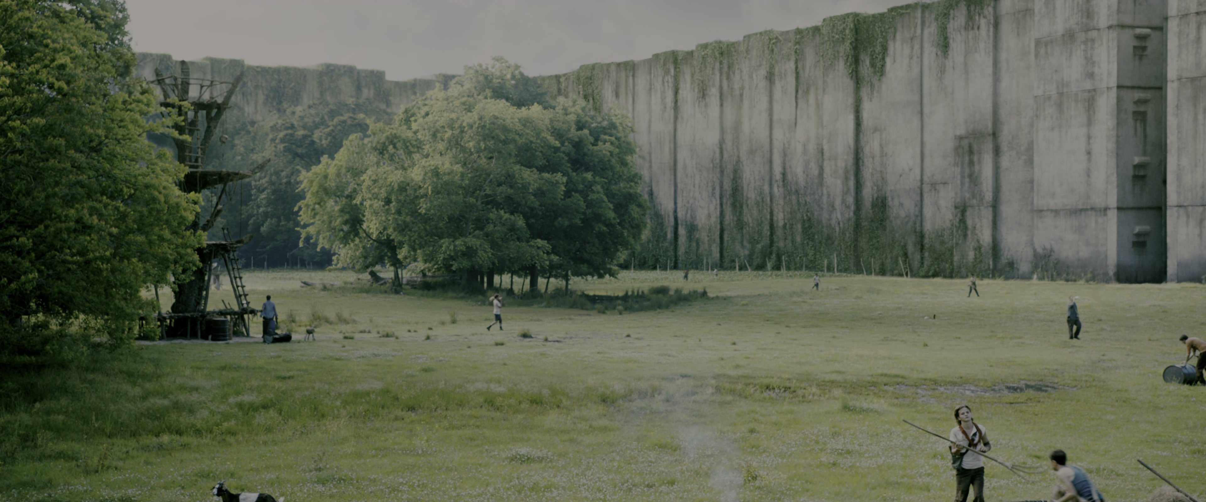The Maze Runner (2014), wide, 2.40:1 — film still