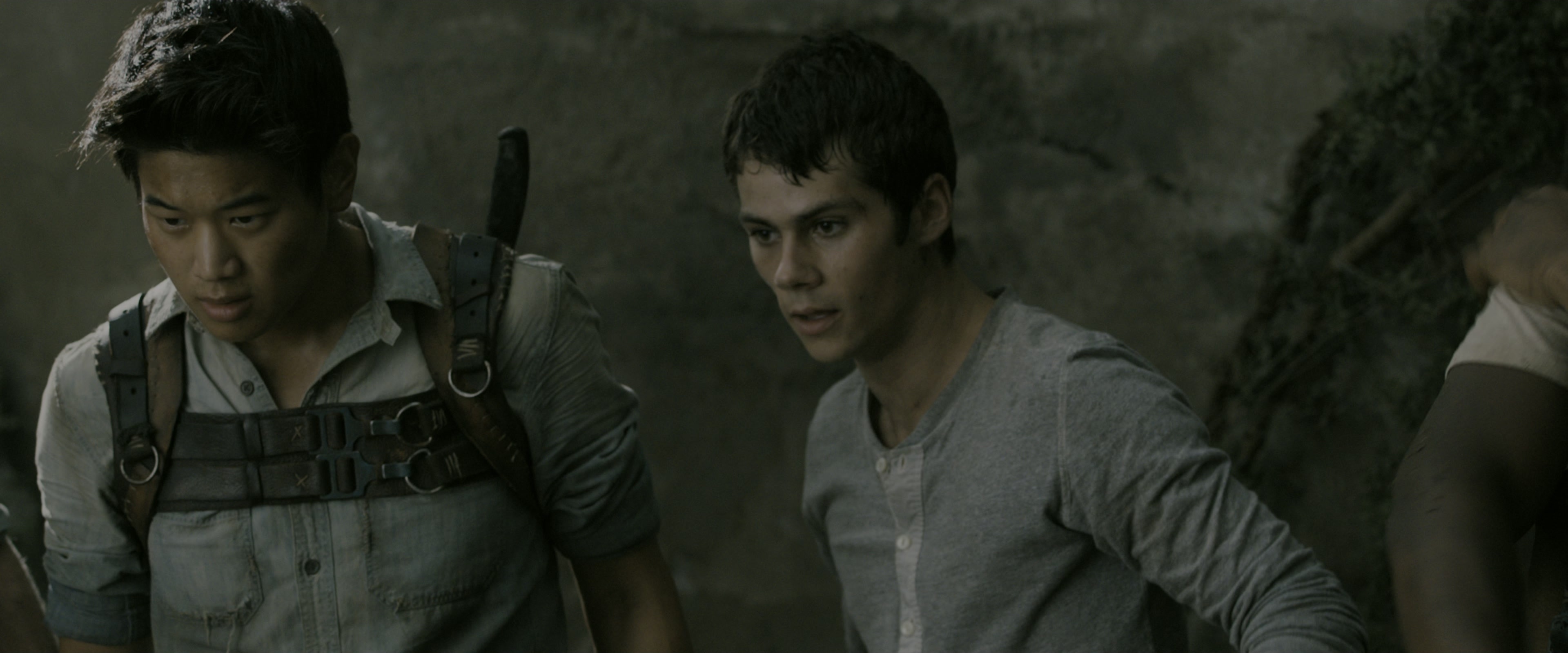 The Maze Runner (2014), wide, 2.40:1 — film still