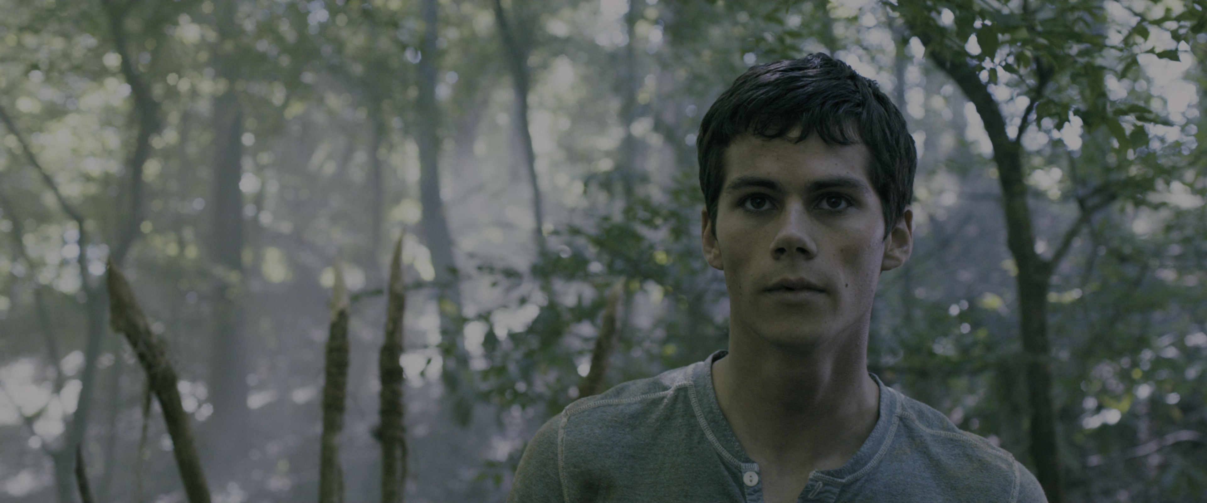 The Maze Runner (2014), medium, 2.40:1 — film still