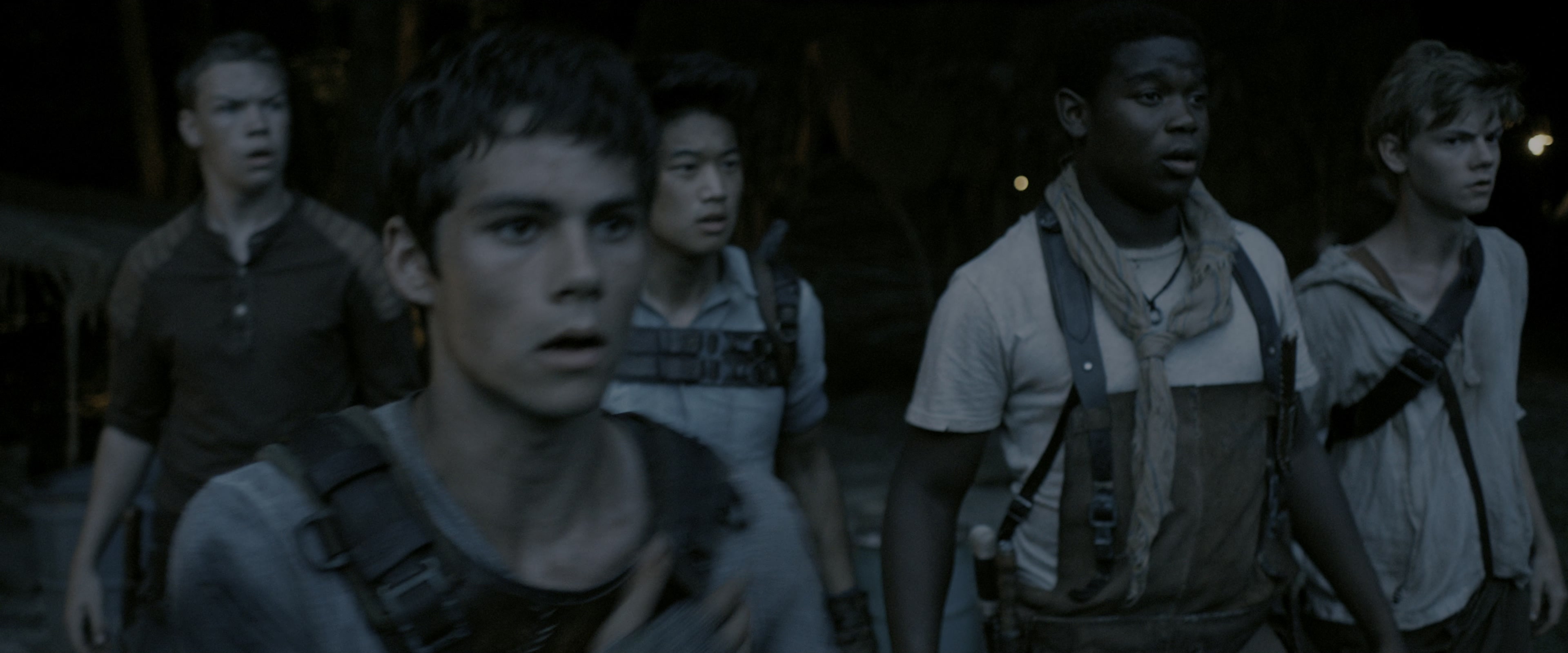 The Maze Runner (2014), medium, 2.40:1 — film still