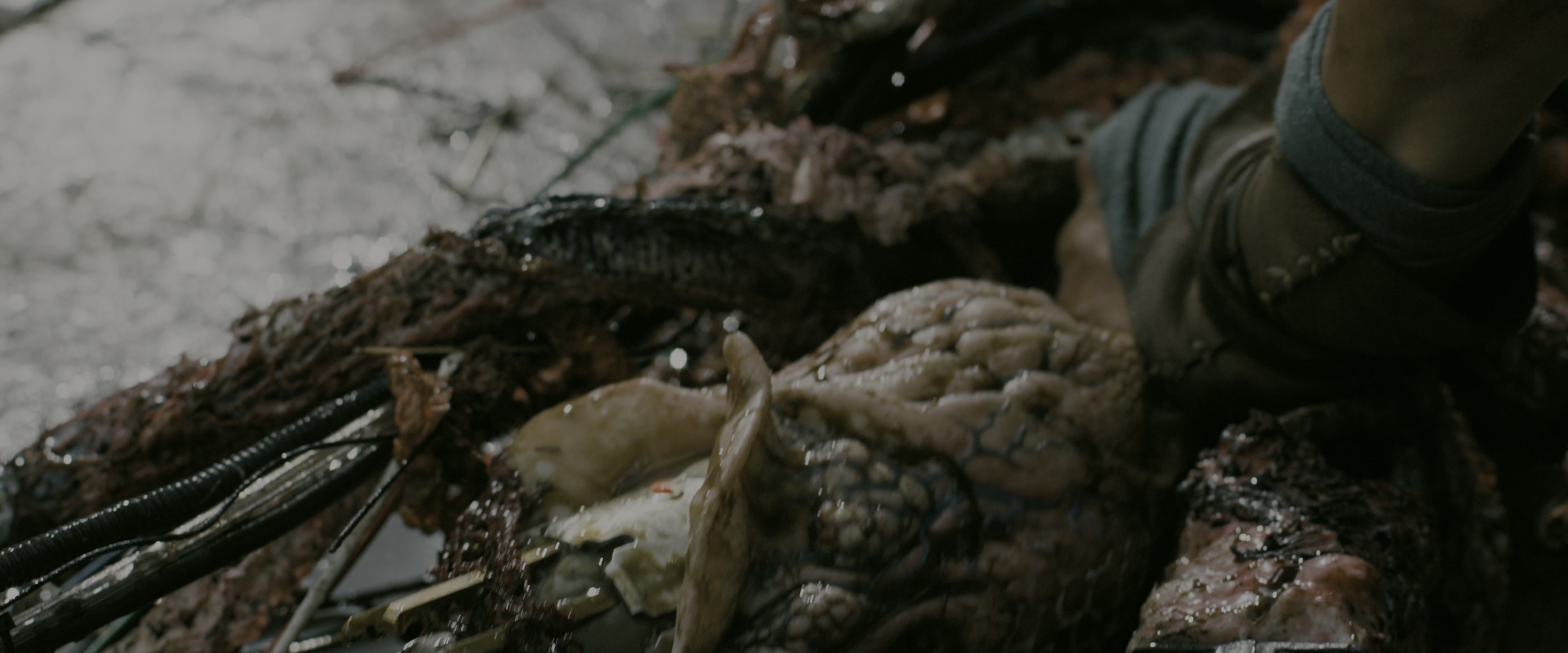 The Maze Runner (2014), wide, 2.40:1 — film still