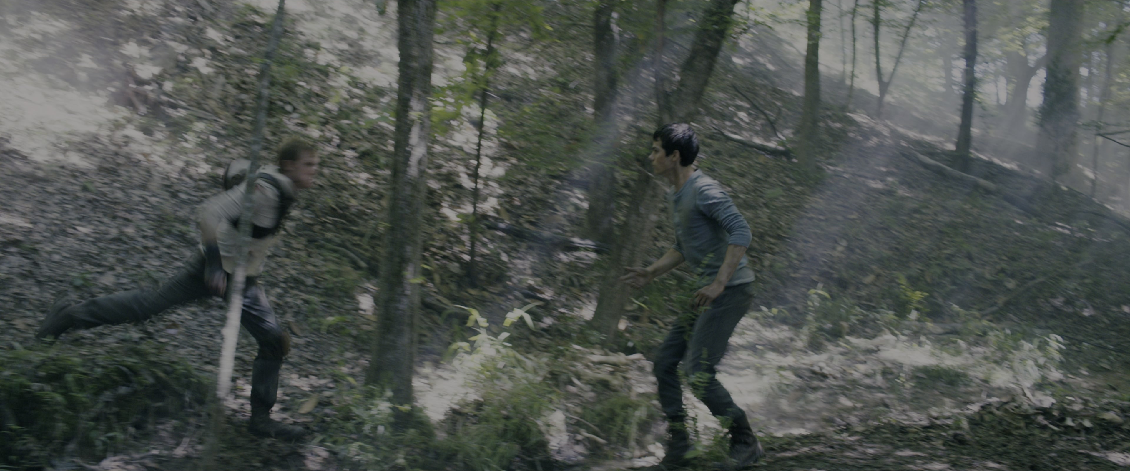 The Maze Runner (2014), wide, 2.40:1 — film still