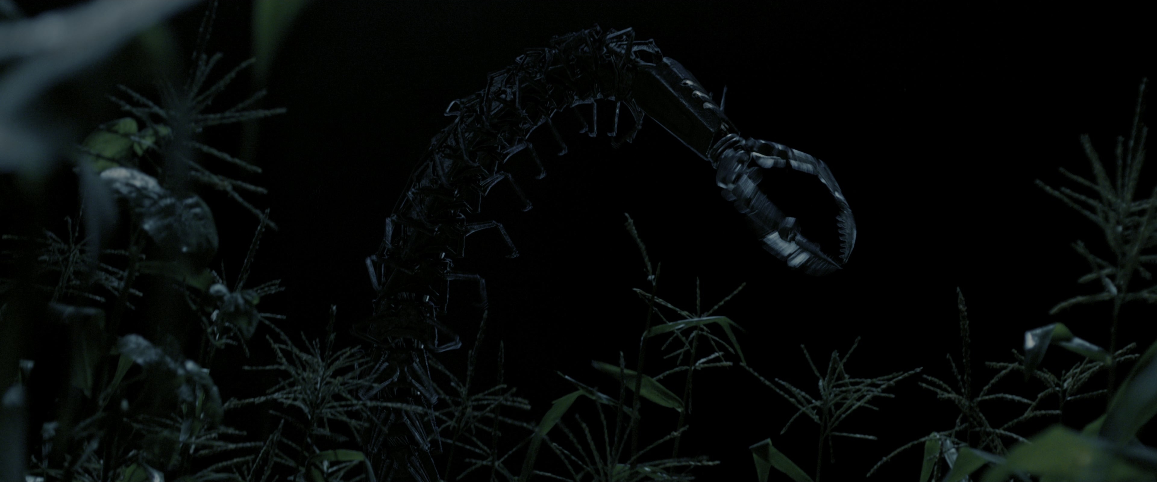 The Maze Runner (2014), wide, 2.40:1 — film still