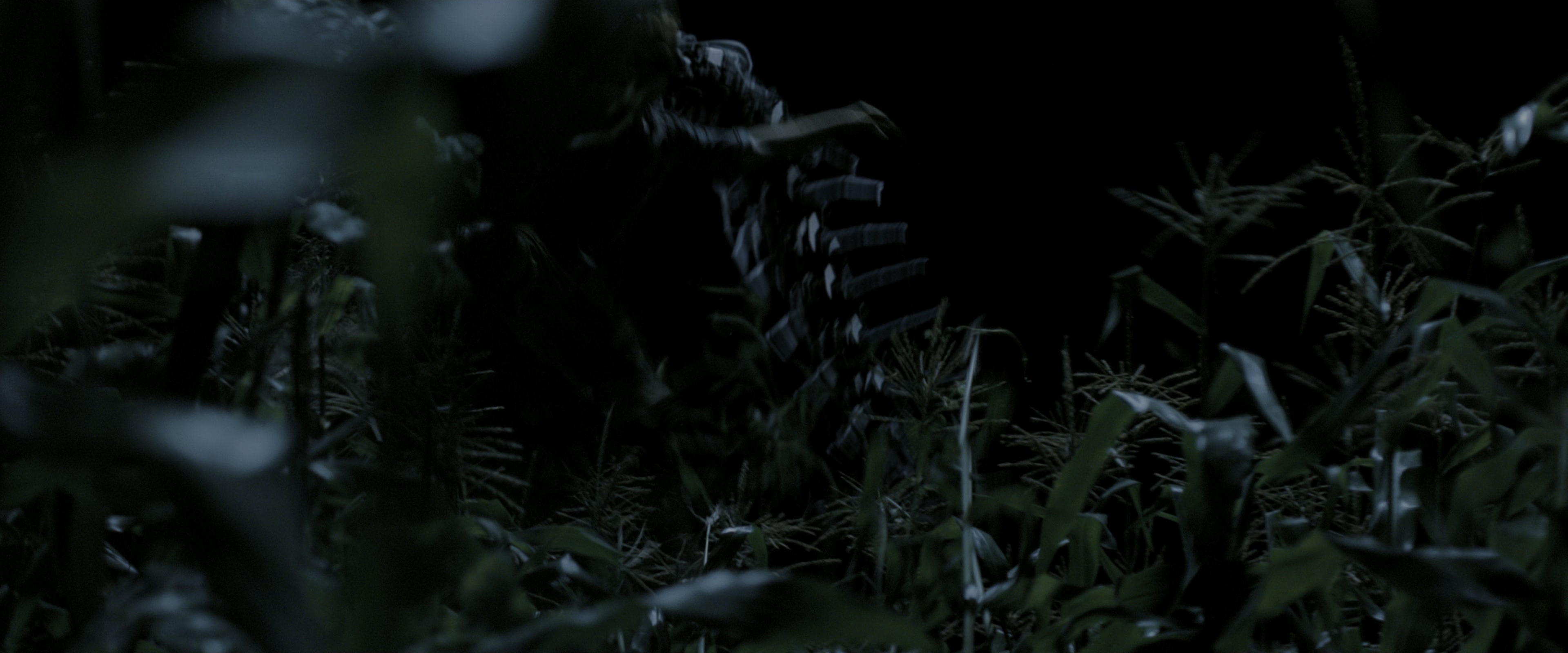 The Maze Runner (2014), wide, 2.40:1 — film still