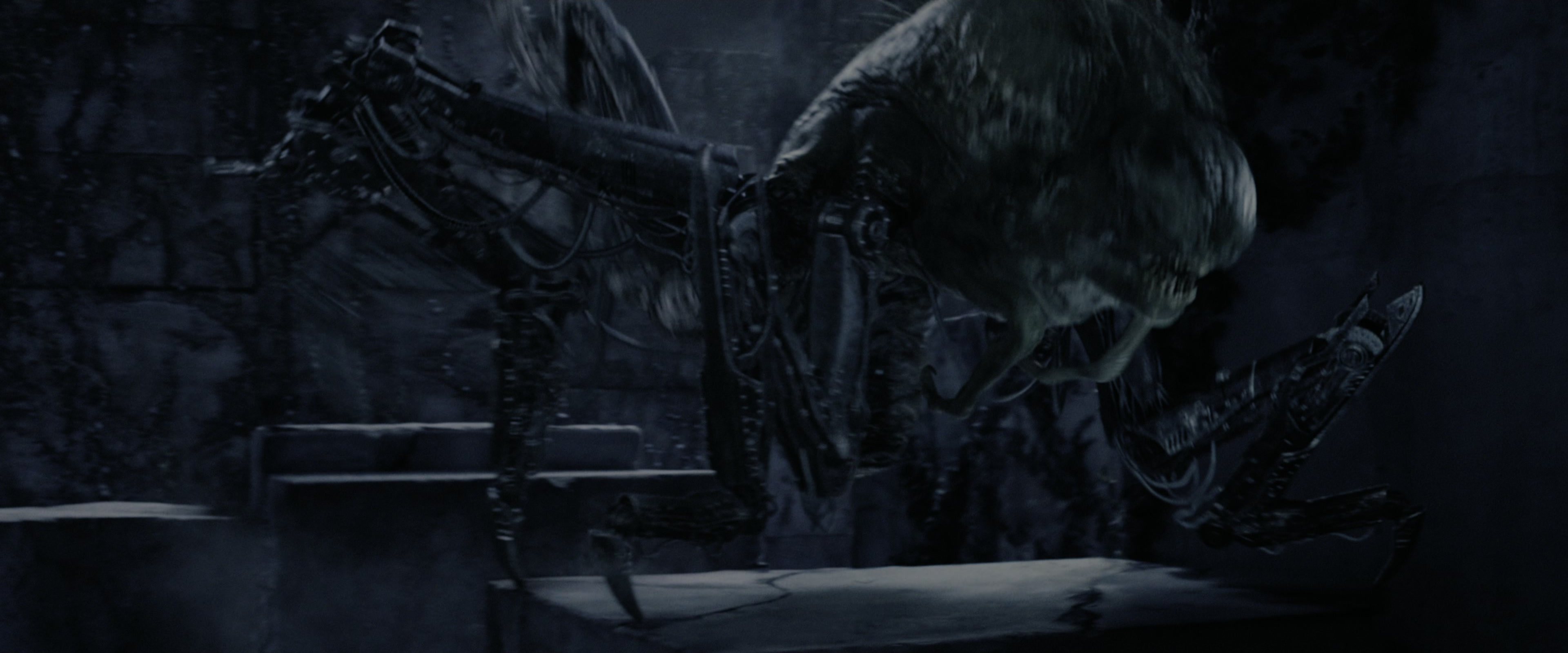 The Maze Runner (2014), wide, 2.40:1 — film still