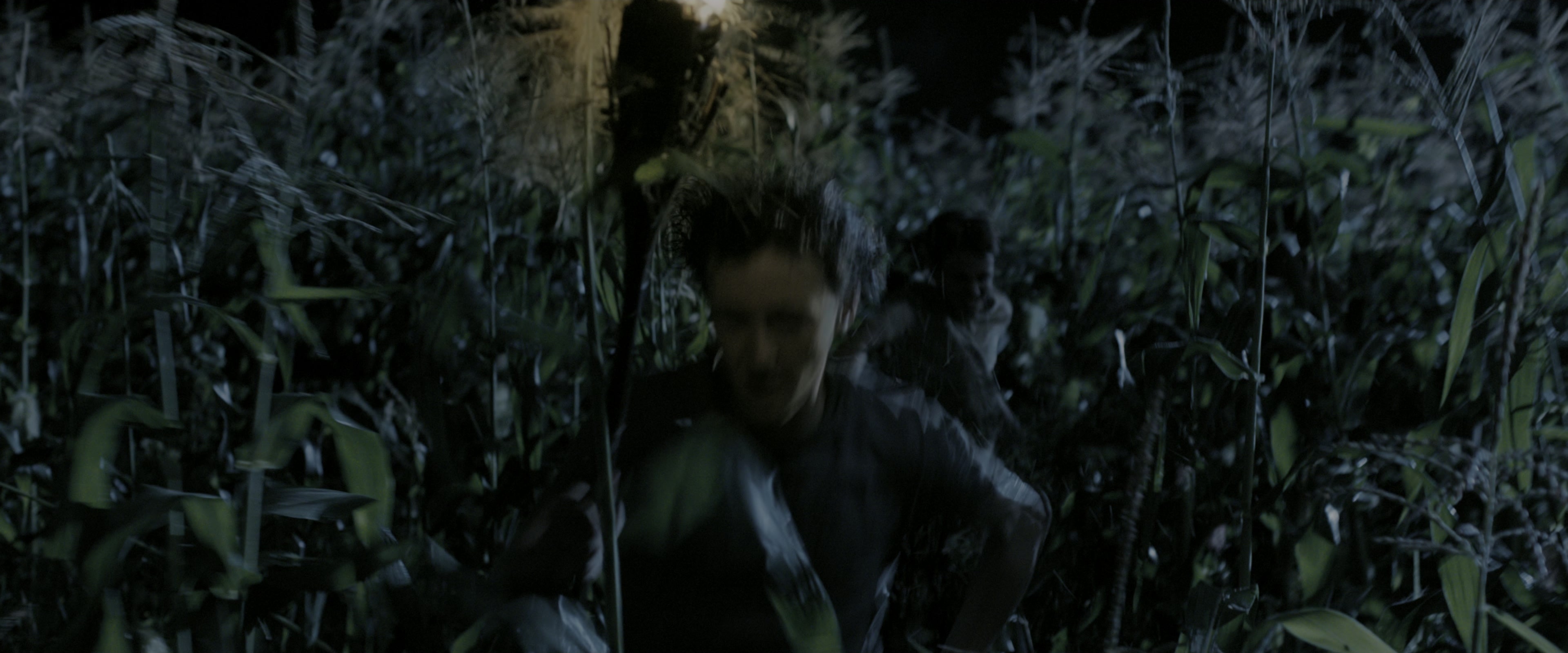 The Maze Runner (2014), wide, 2.40:1 — film still