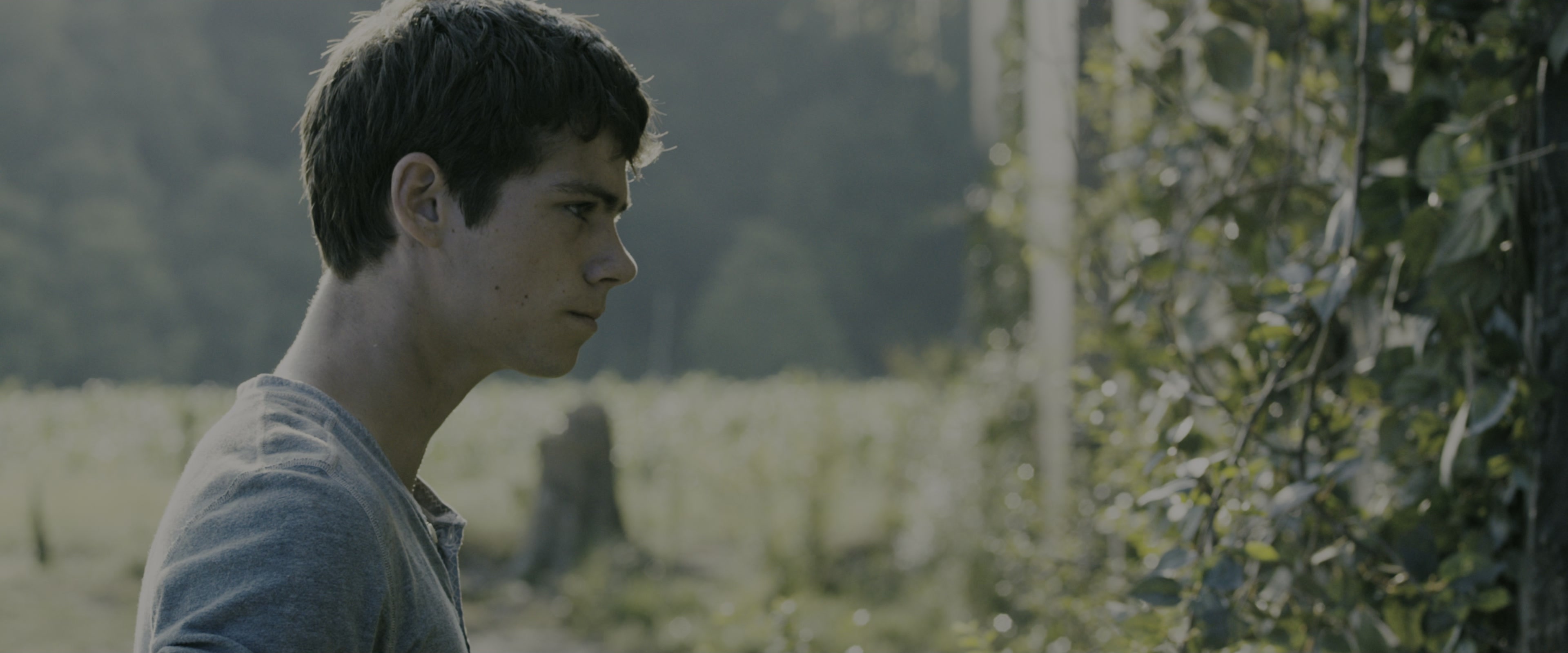 The Maze Runner (2014), wide, 2.40:1 — film still