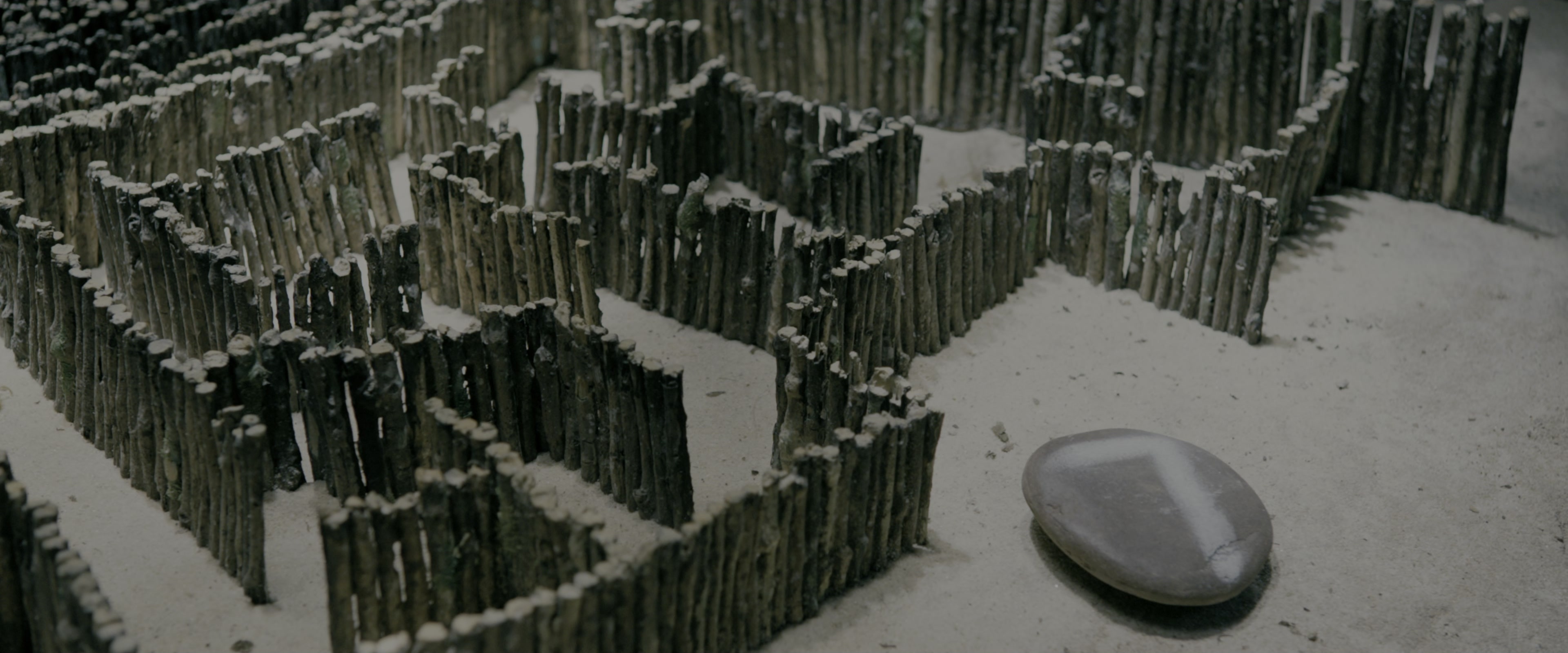 The Maze Runner (2014), wide, 2.40:1 — film still