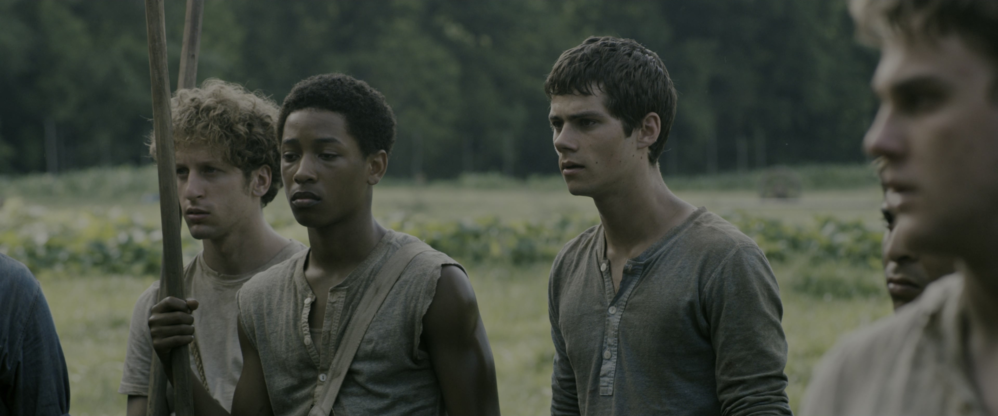 The Maze Runner (2014), wide, 2.40:1 — film still