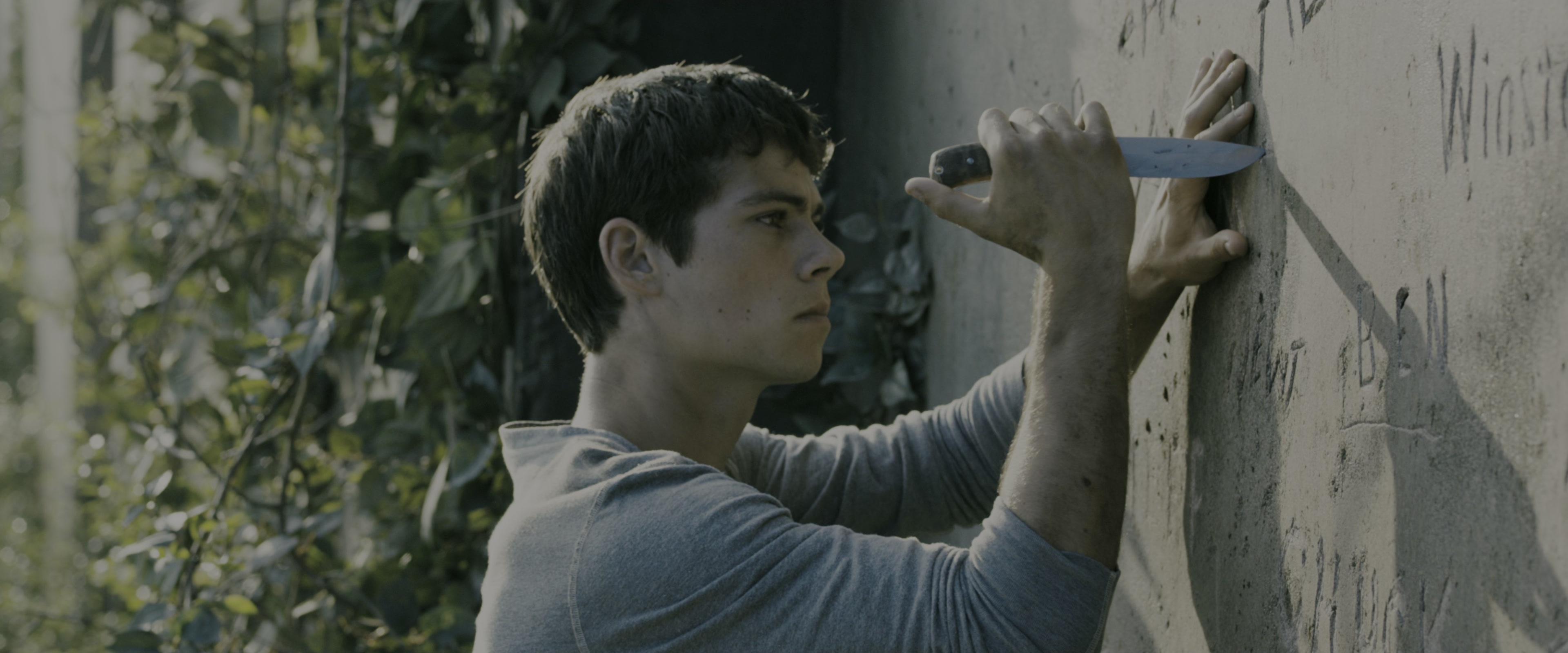 The Maze Runner (2014), wide, 2.40:1 — film still