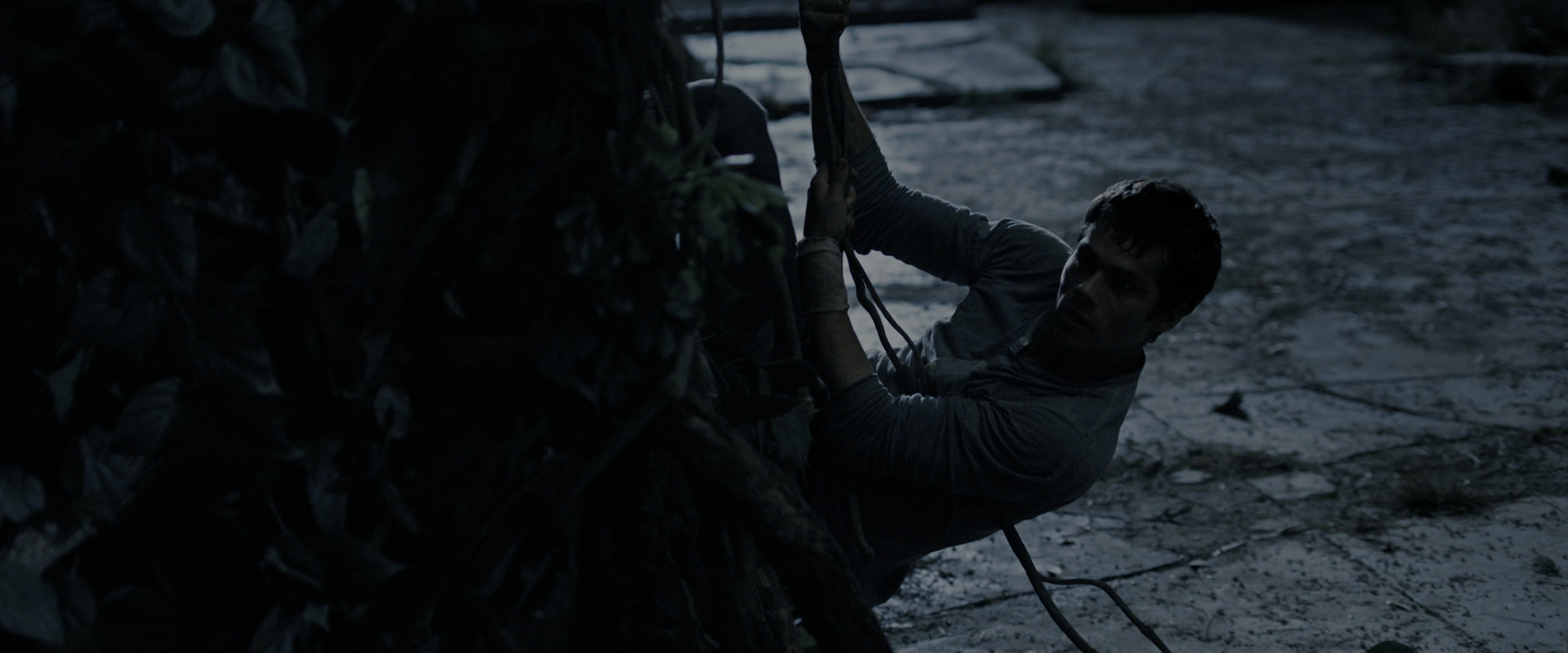 The Maze Runner (2014), wide, 2.40:1 — film still