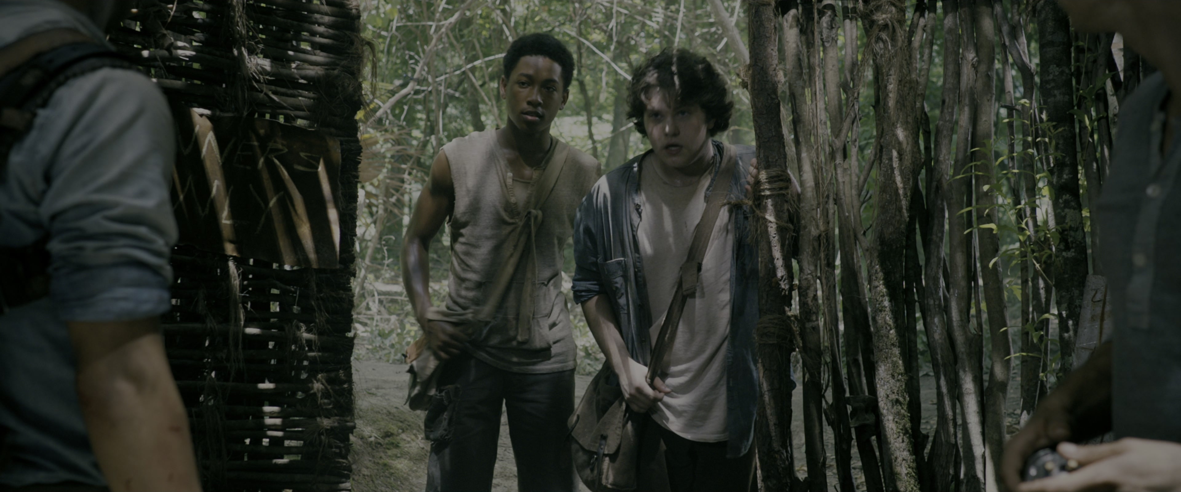 The Maze Runner (2014), wide, 2.40:1 — film still