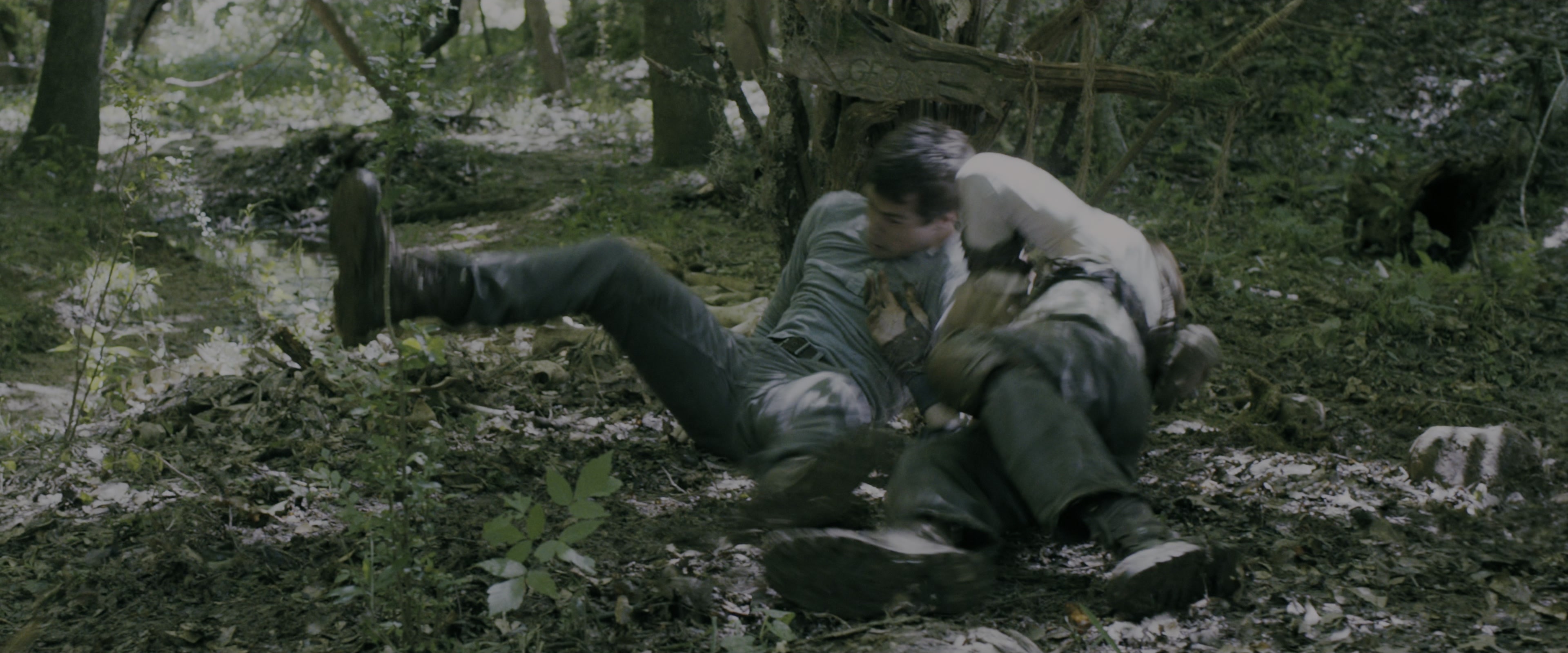 The Maze Runner (2014), wide, 2.40:1 — film still