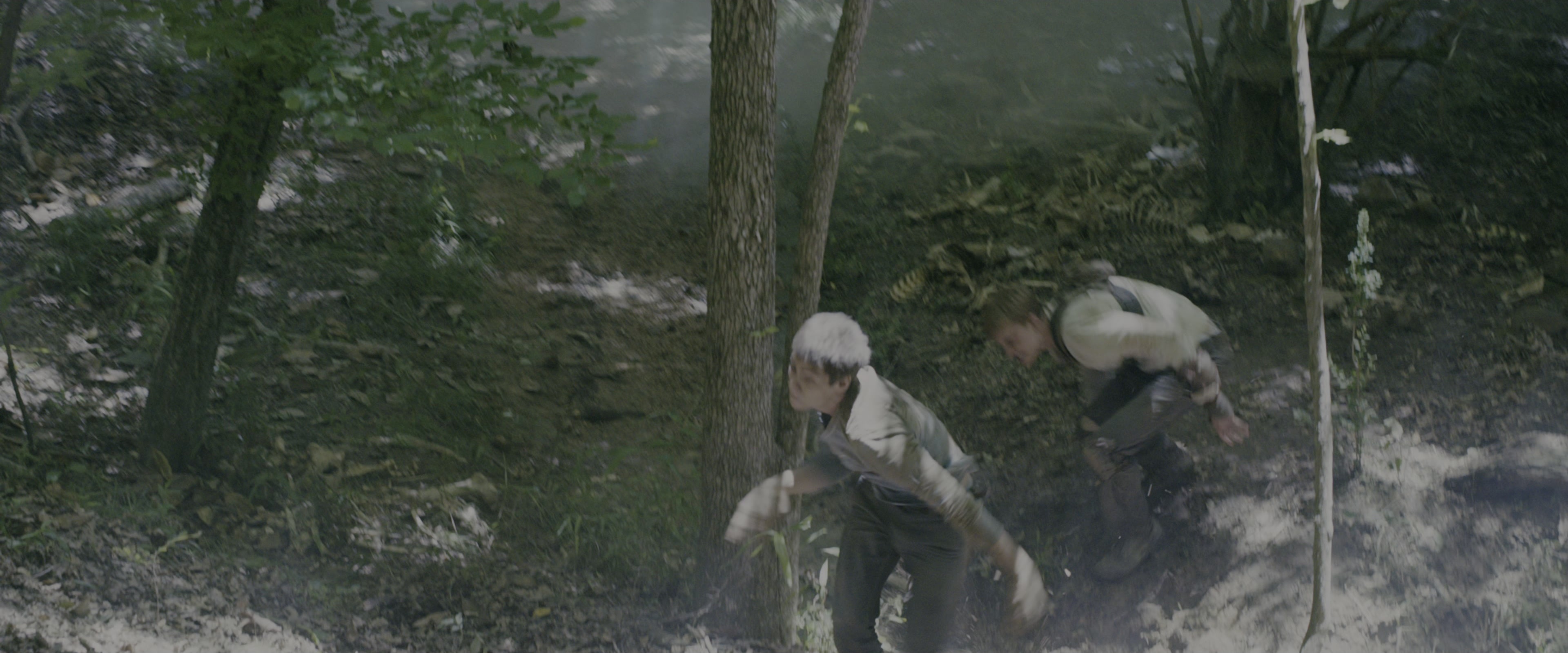 The Maze Runner (2014), wide, 2.40:1 — film still
