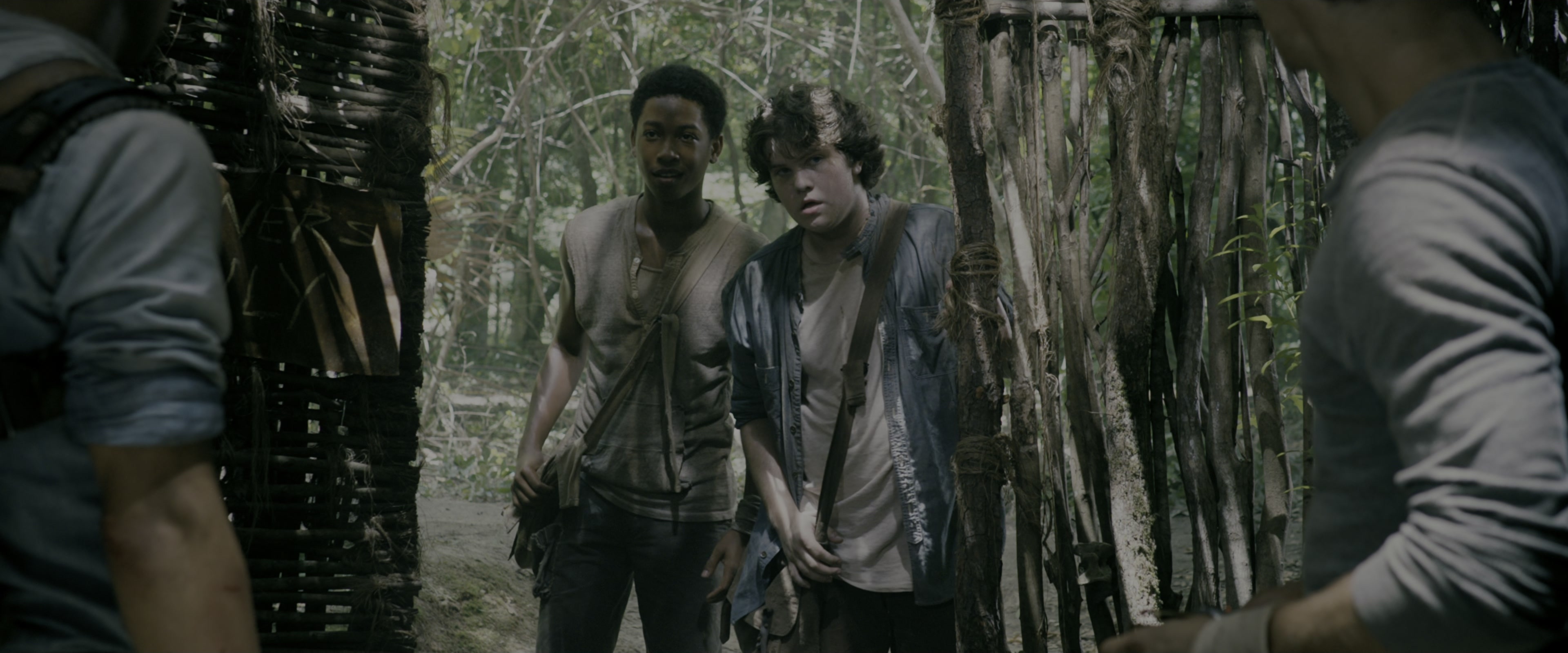 The Maze Runner (2014), wide, 2.40:1 — film still