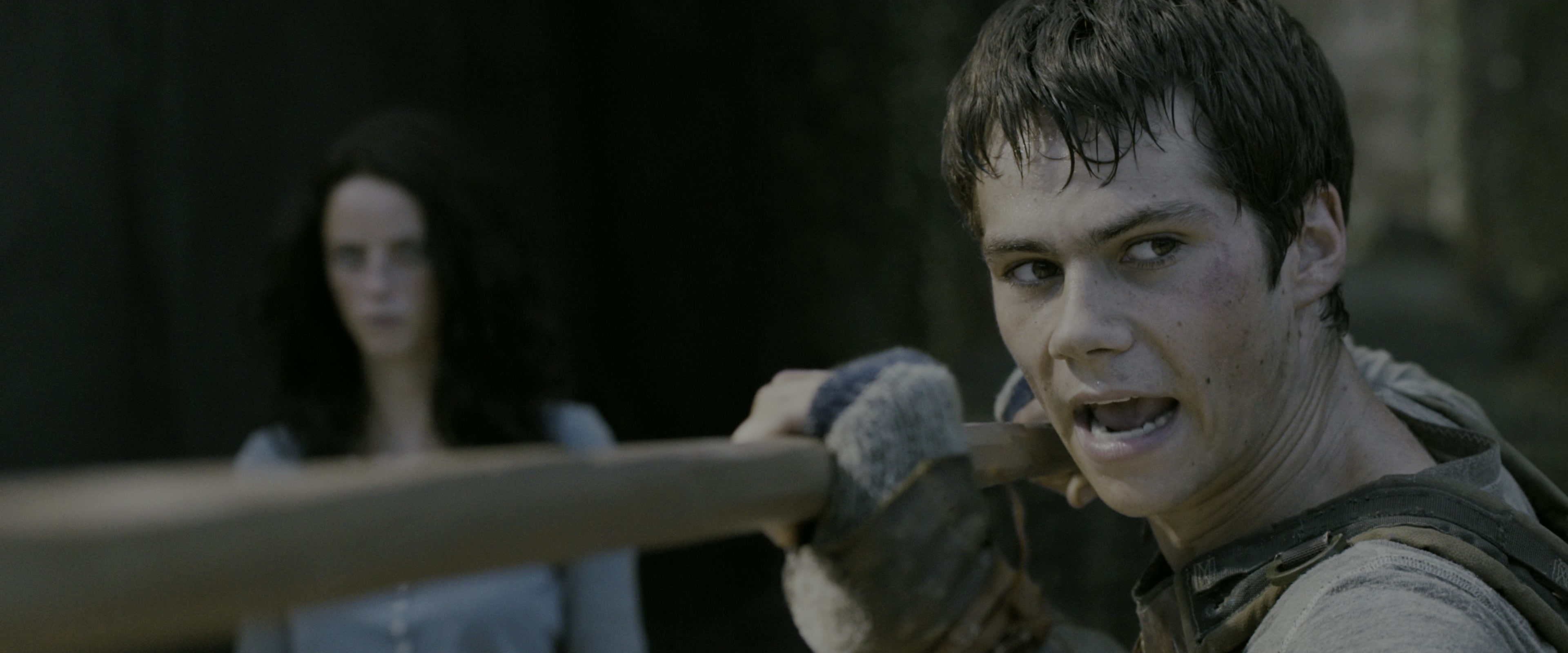 The Maze Runner (2014), medium, 2.40:1 — film still