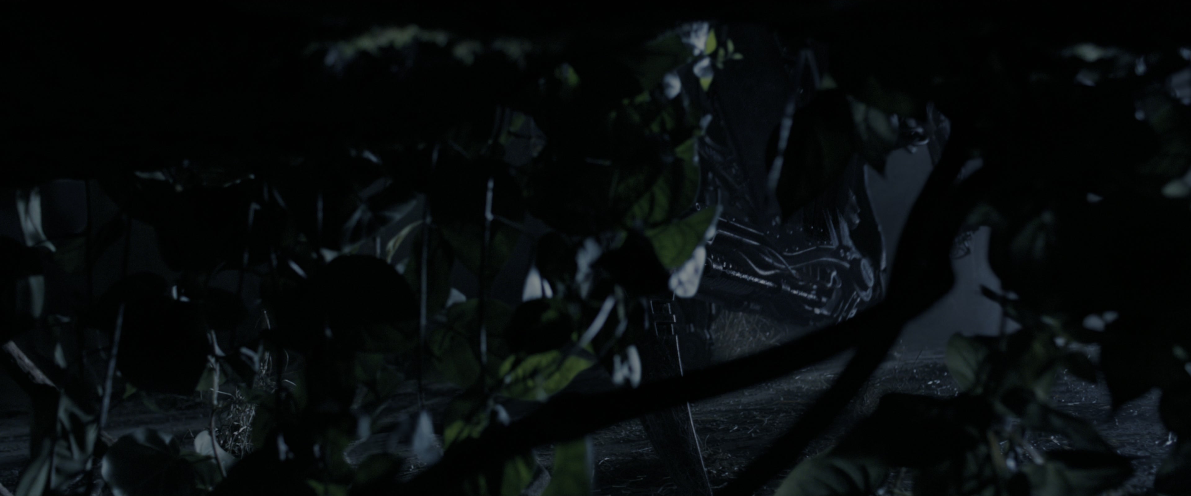 The Maze Runner (2014), wide, 2.40:1 — film still