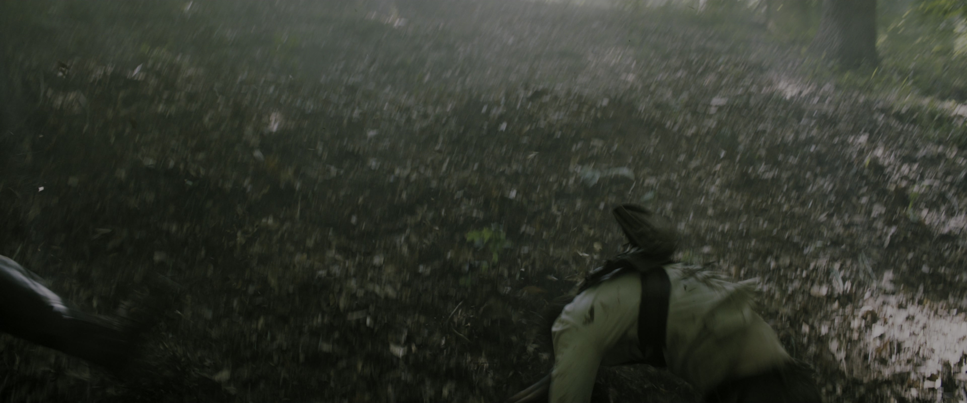 The Maze Runner (2014), wide, 2.40:1 — film still