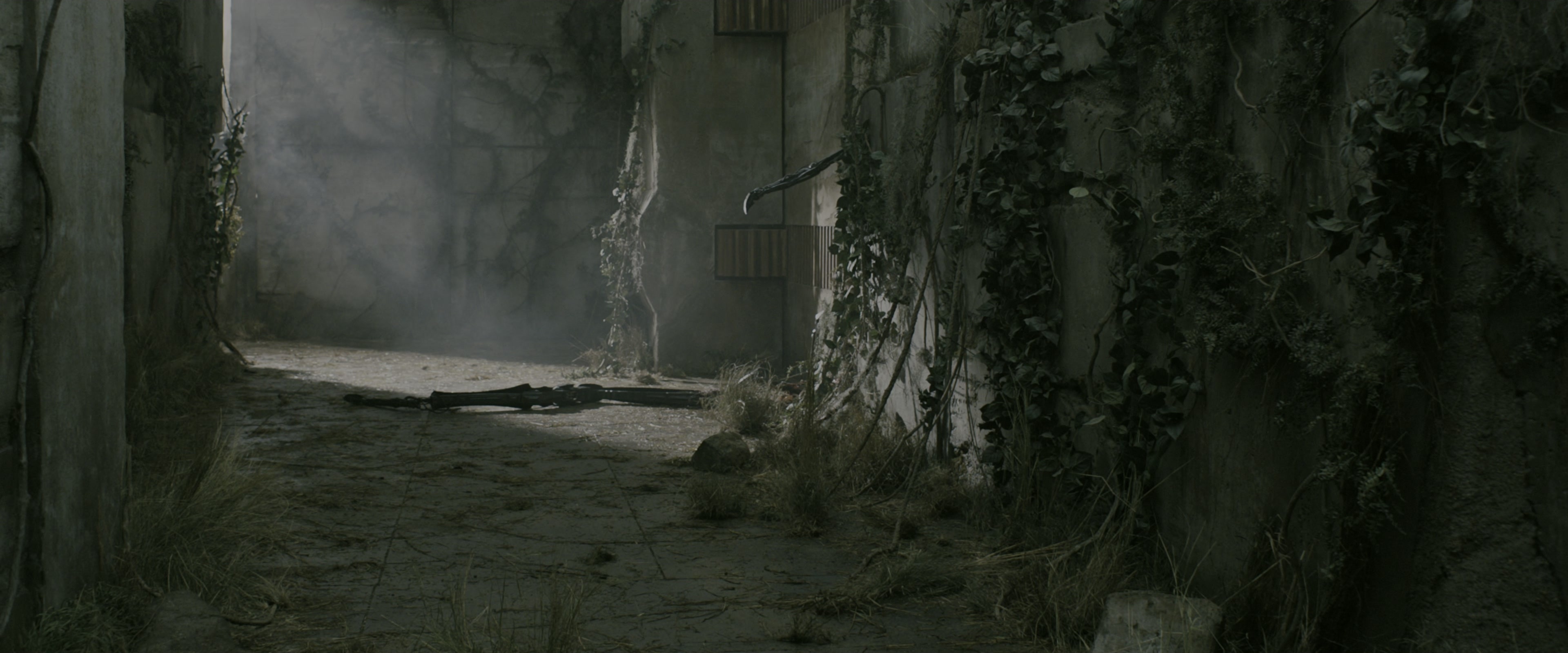 The Maze Runner (2014), wide, 2.40:1 — film still