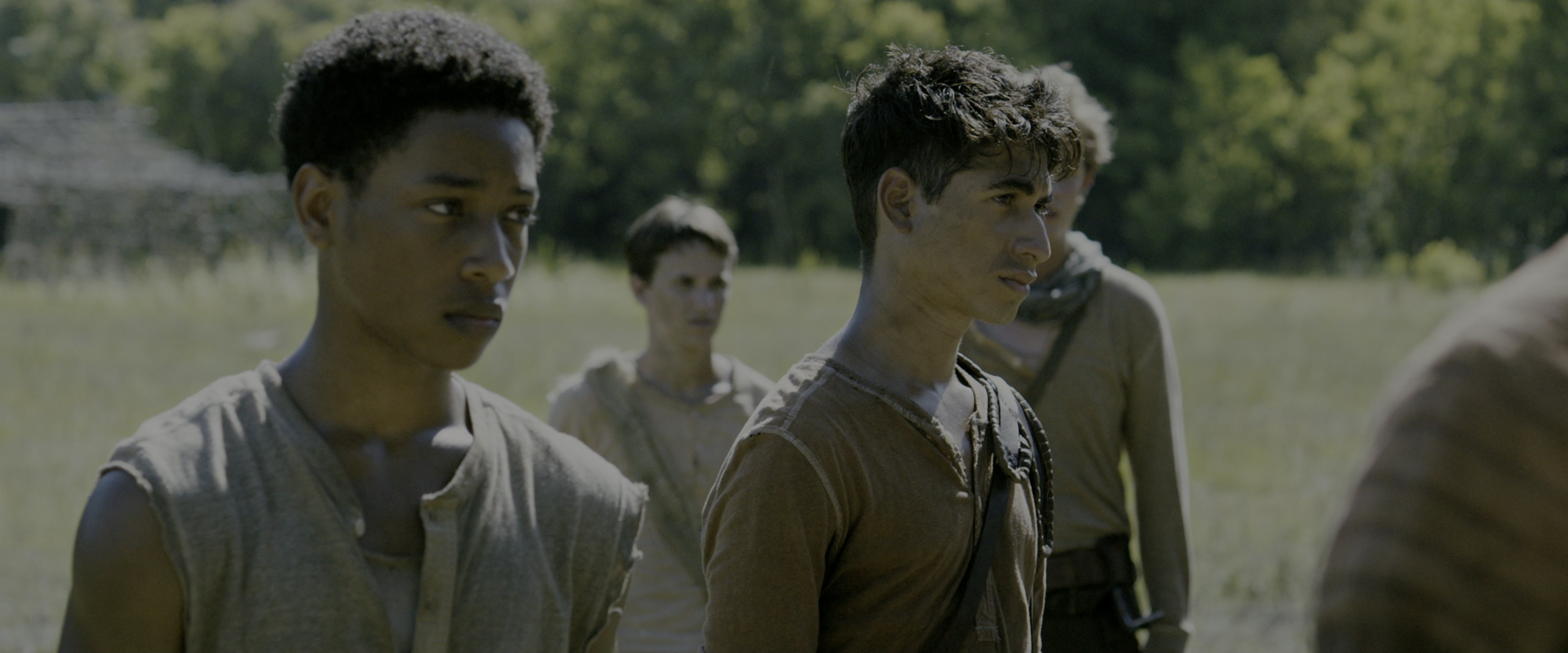 The Maze Runner (2014), wide, 2.40:1 — film still