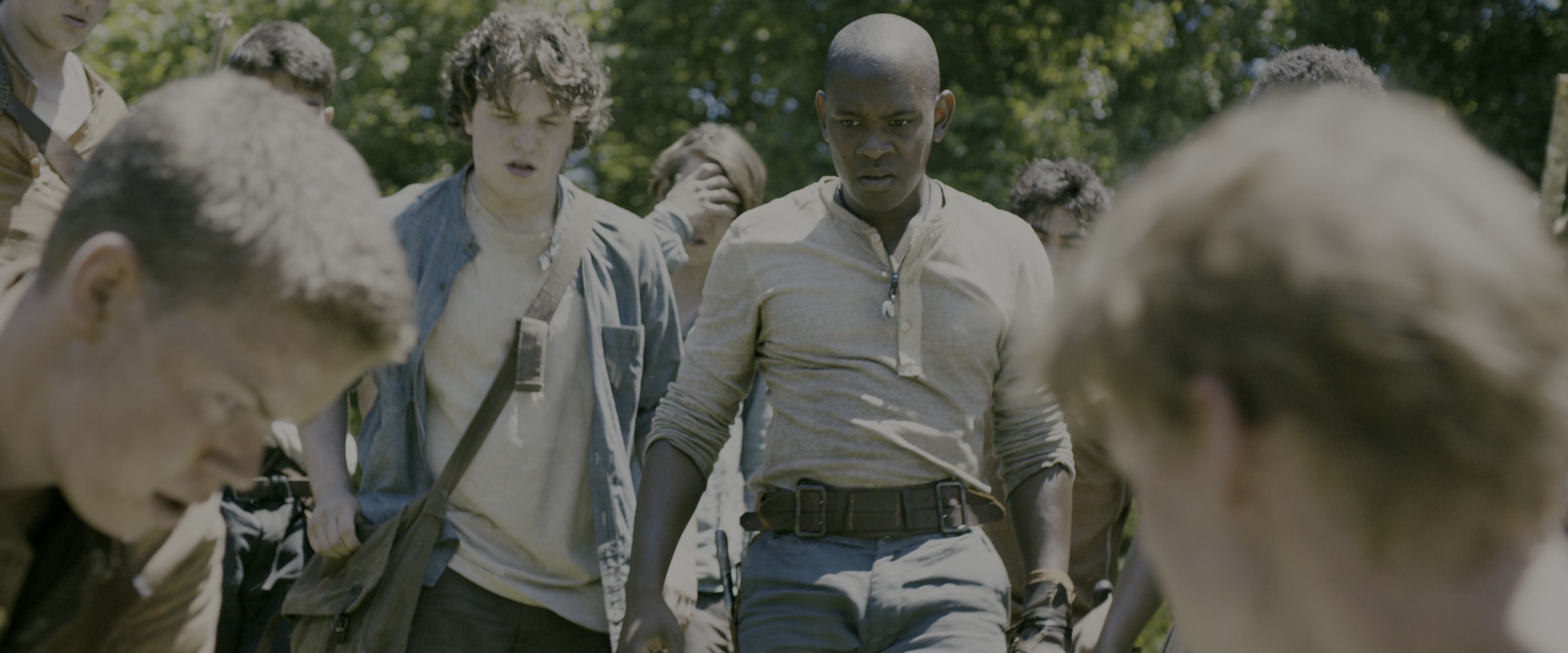 The Maze Runner (2014), wide, 2.40:1 — film still