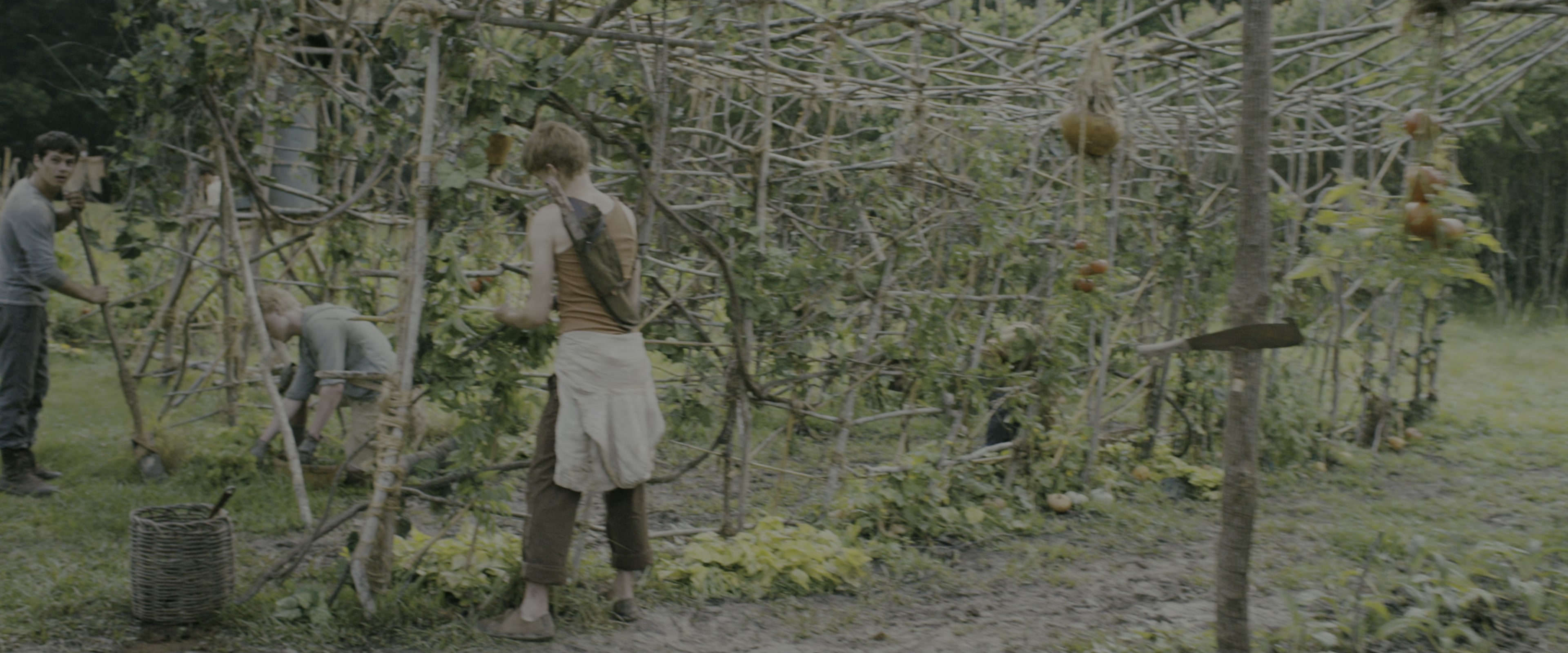 The Maze Runner (2014), wide, 2.40:1 — film still