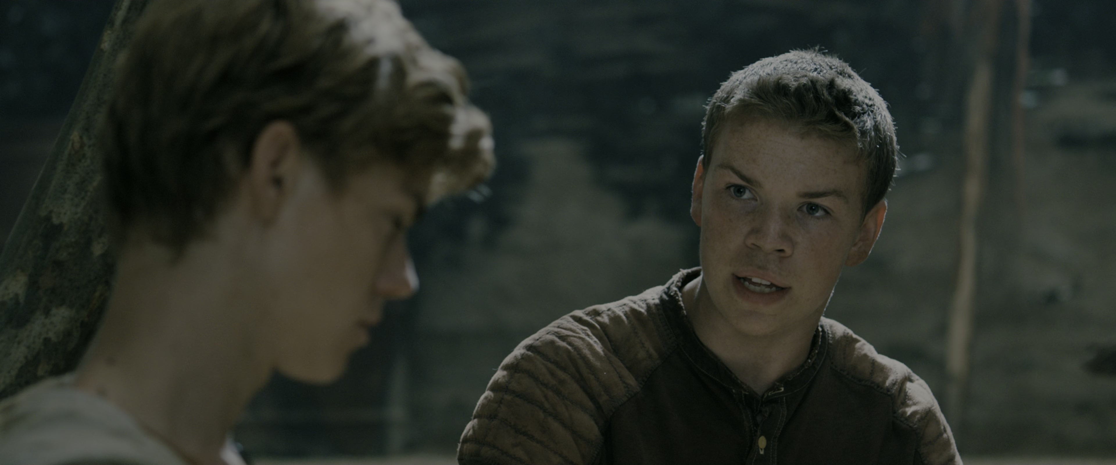 The Maze Runner (2014), medium, 2.40:1 — film still