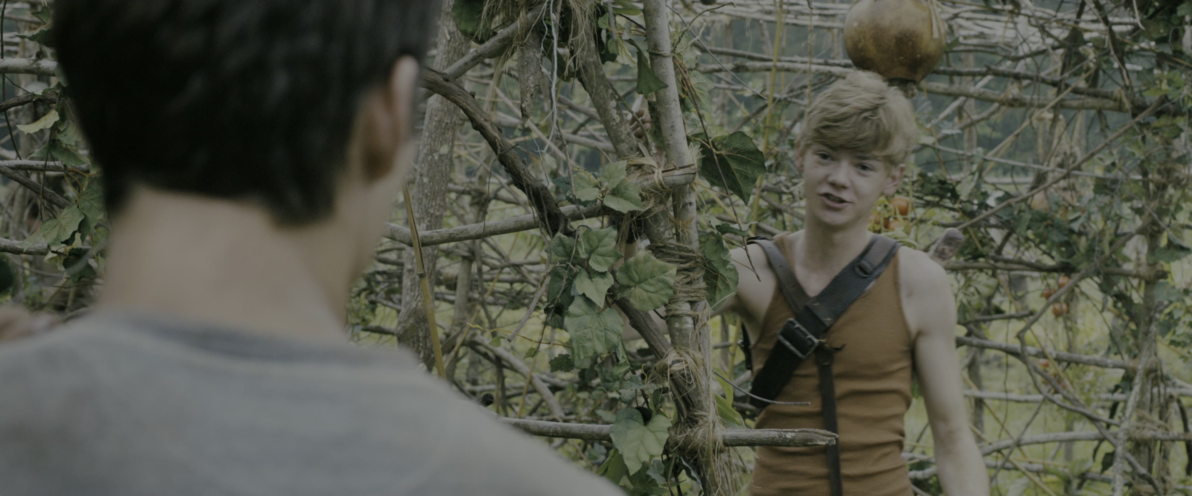 The Maze Runner (2014), wide, 2.40:1 — film still