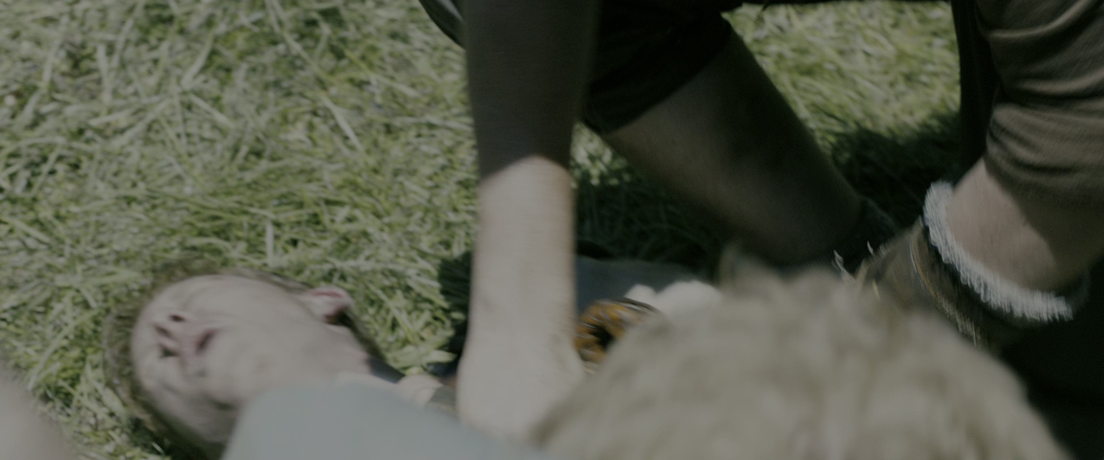 The Maze Runner (2014), wide, 2.40:1 — film still