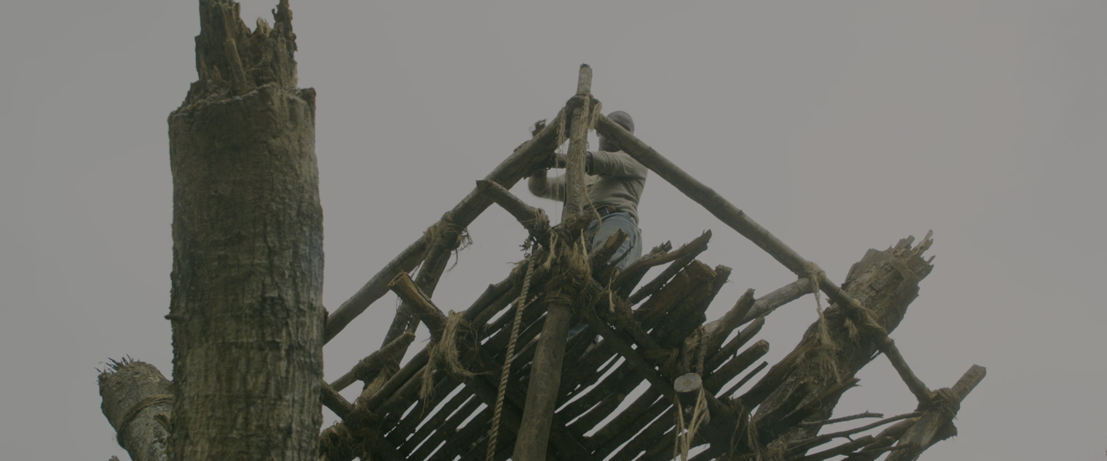 The Maze Runner (2014), wide, 2.40:1 — film still