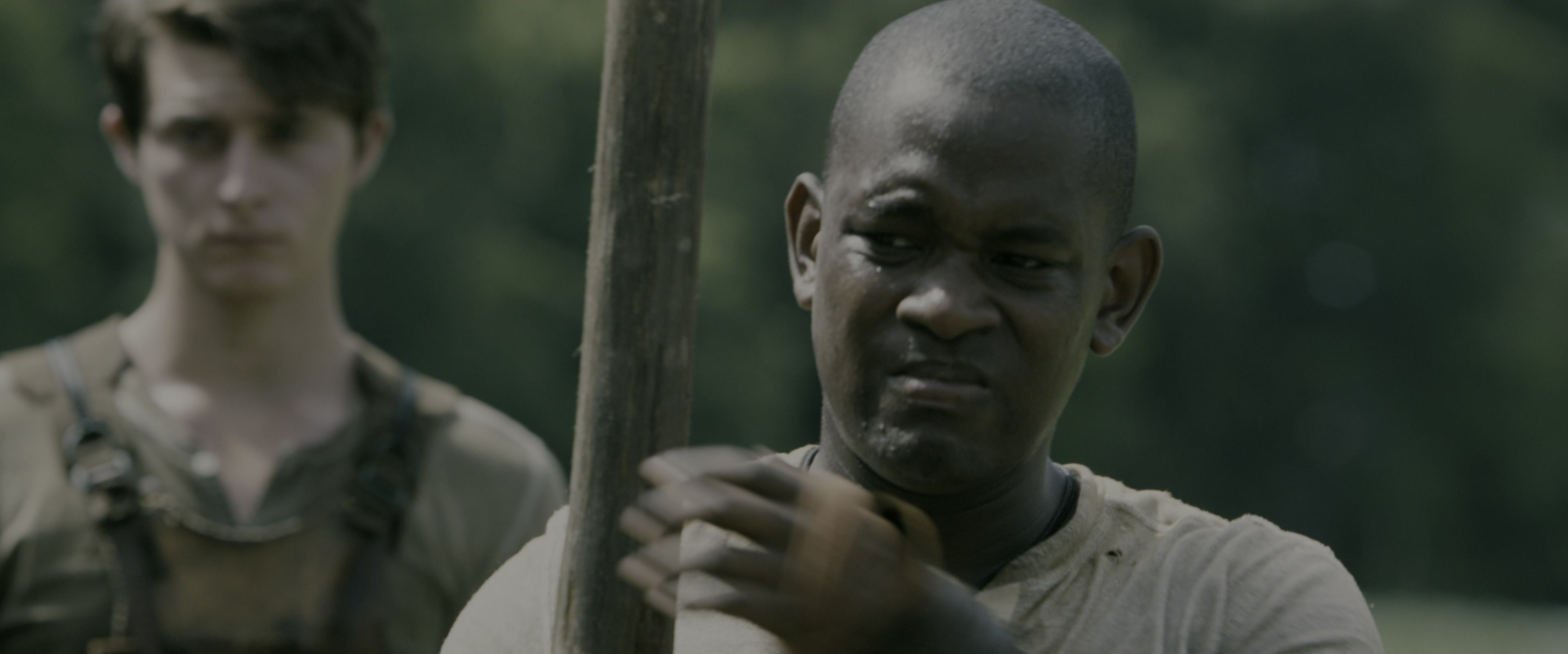 The Maze Runner (2014), medium, 2.40:1 — film still