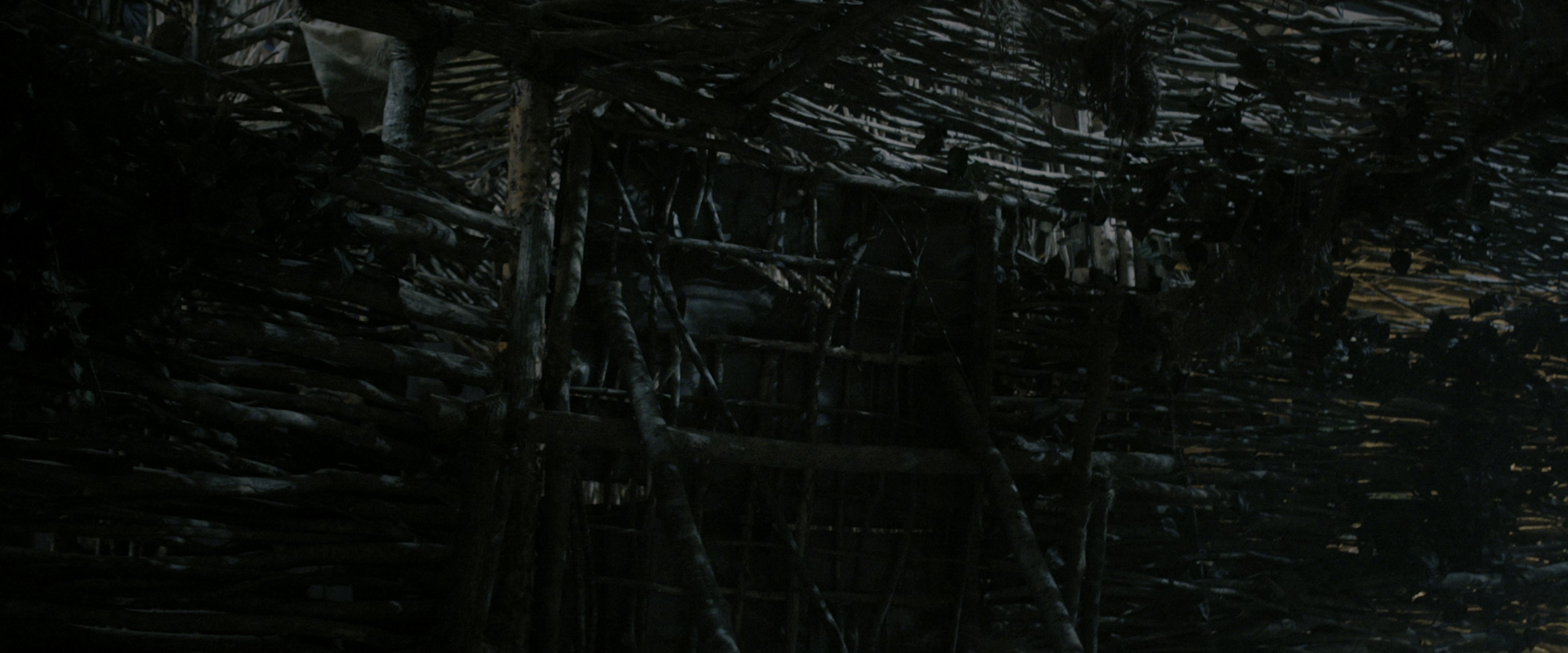 The Maze Runner (2014), wide, 2.40:1 — film still