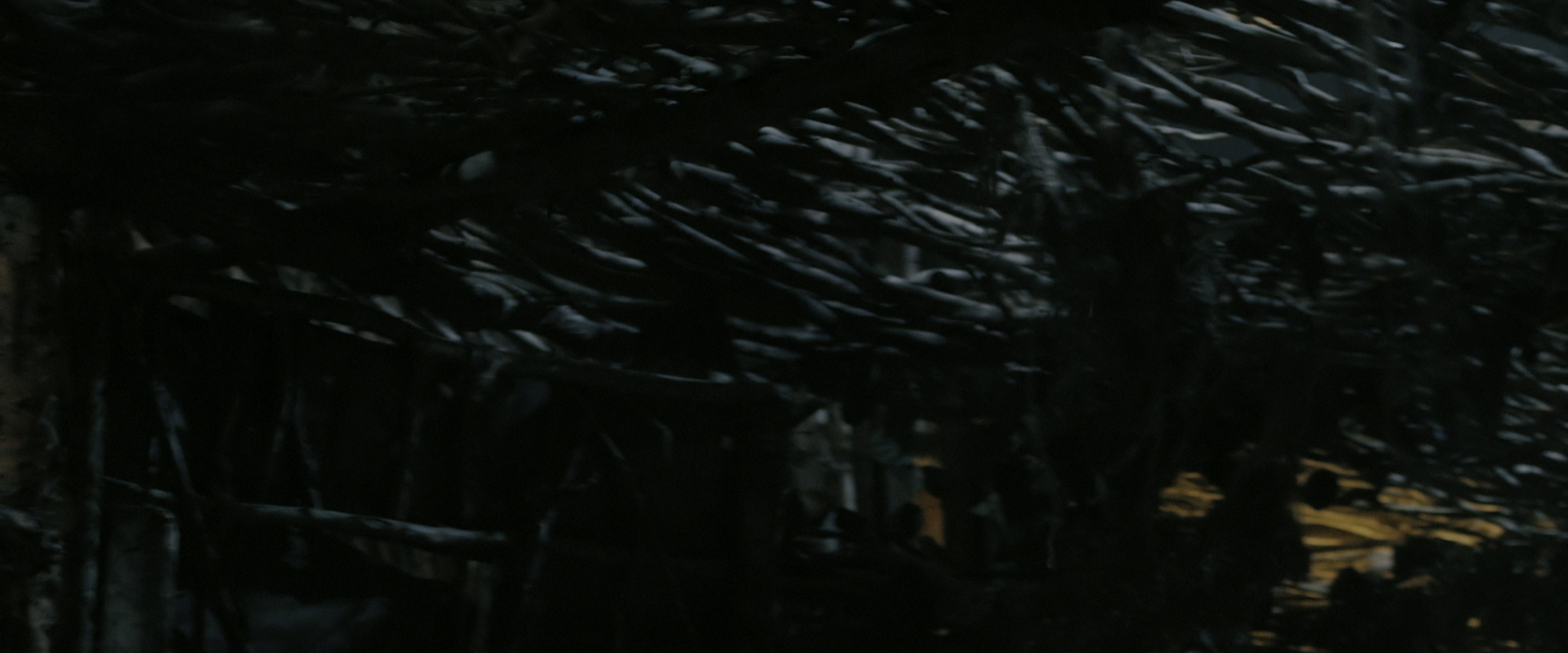 The Maze Runner (2014), wide, 2.40:1 — film still