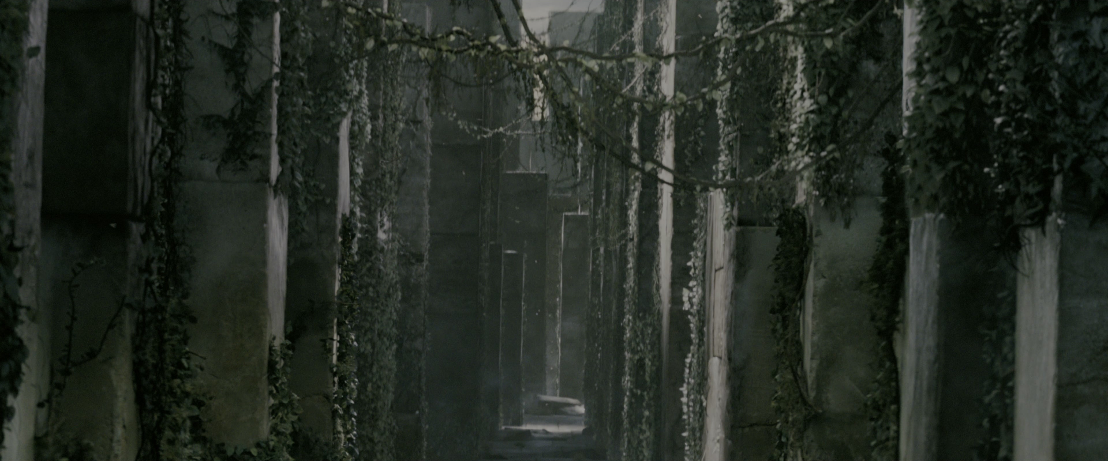 The Maze Runner (2014), wide, 2.40:1 — film still