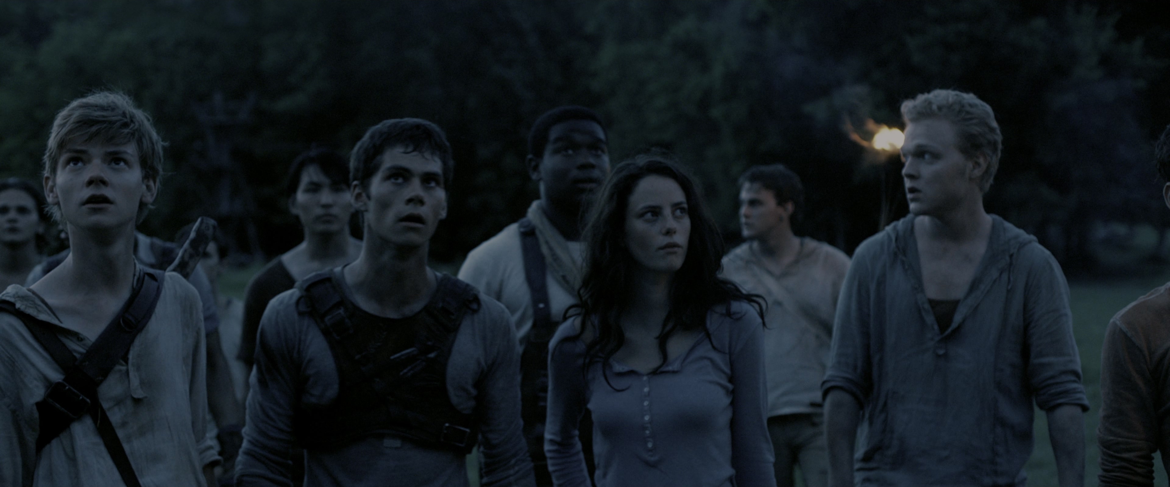 The Maze Runner (2014), wide, 2.40:1 — film still