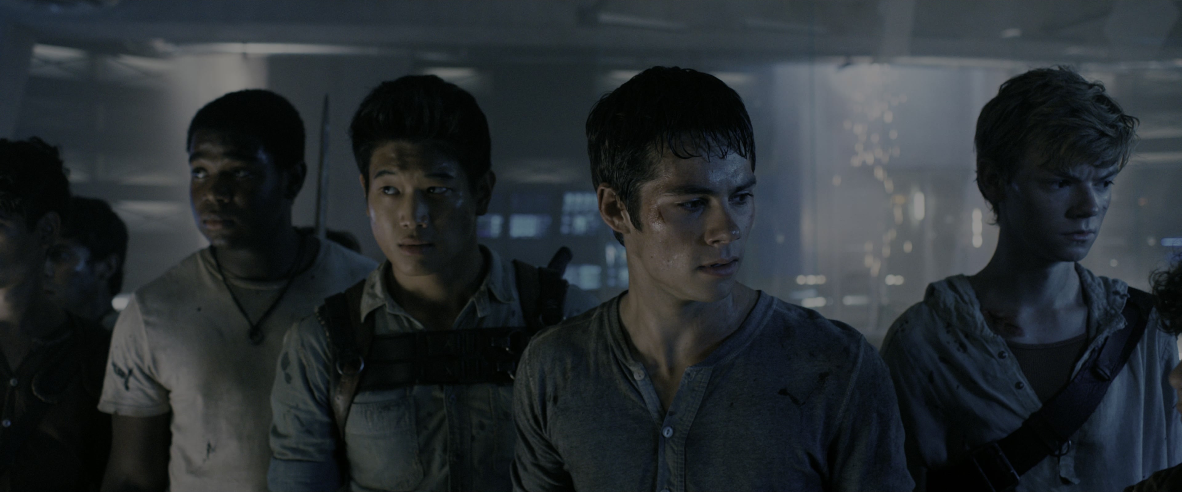 The Maze Runner (2014), wide, 2.40:1 — film still