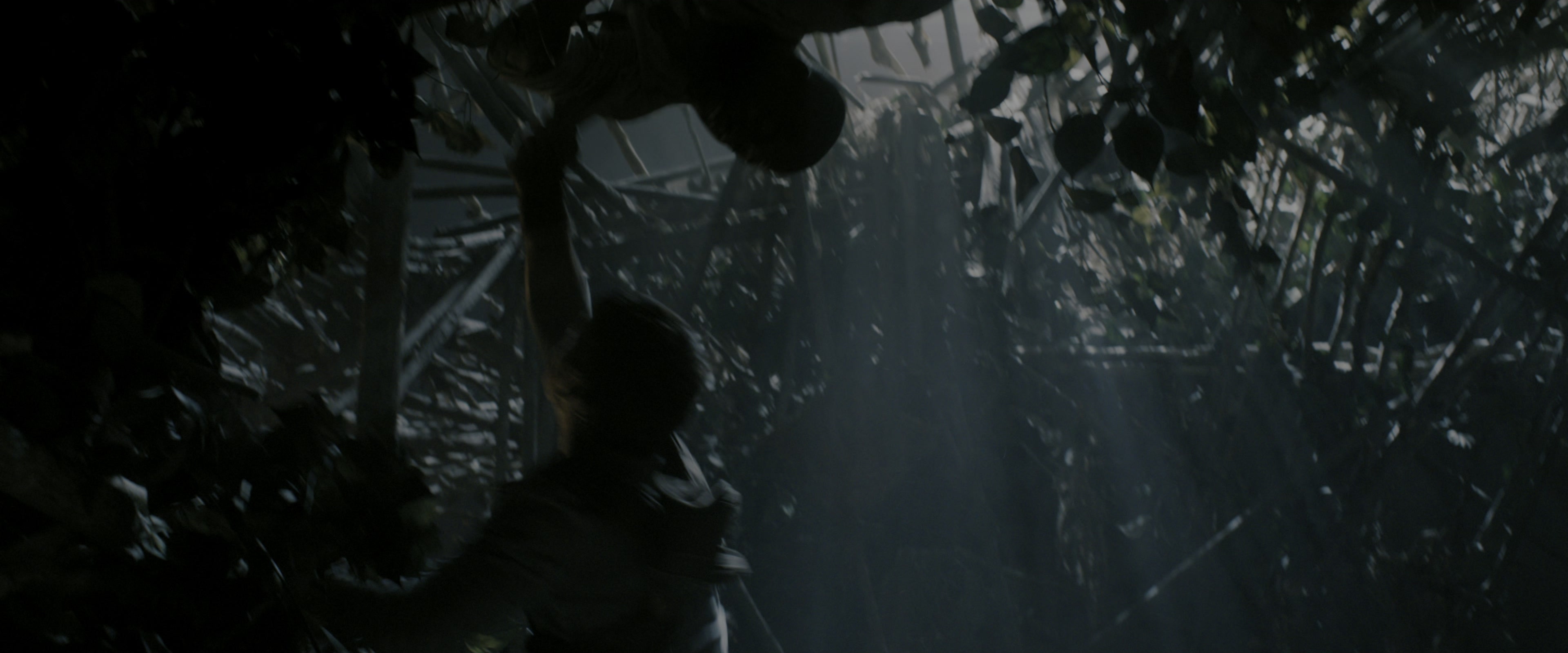 The Maze Runner (2014), wide, 2.40:1 — film still