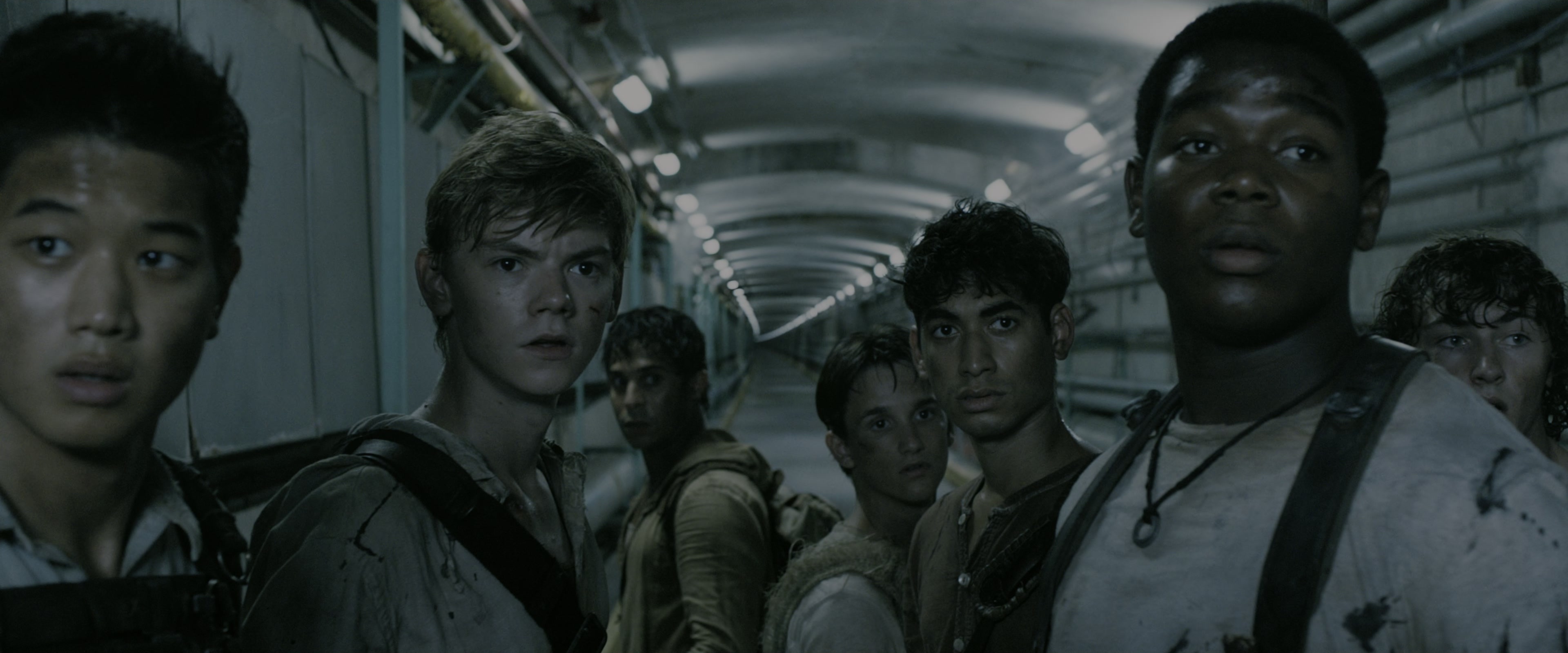 The Maze Runner (2014), medium, 2.40:1 — film still