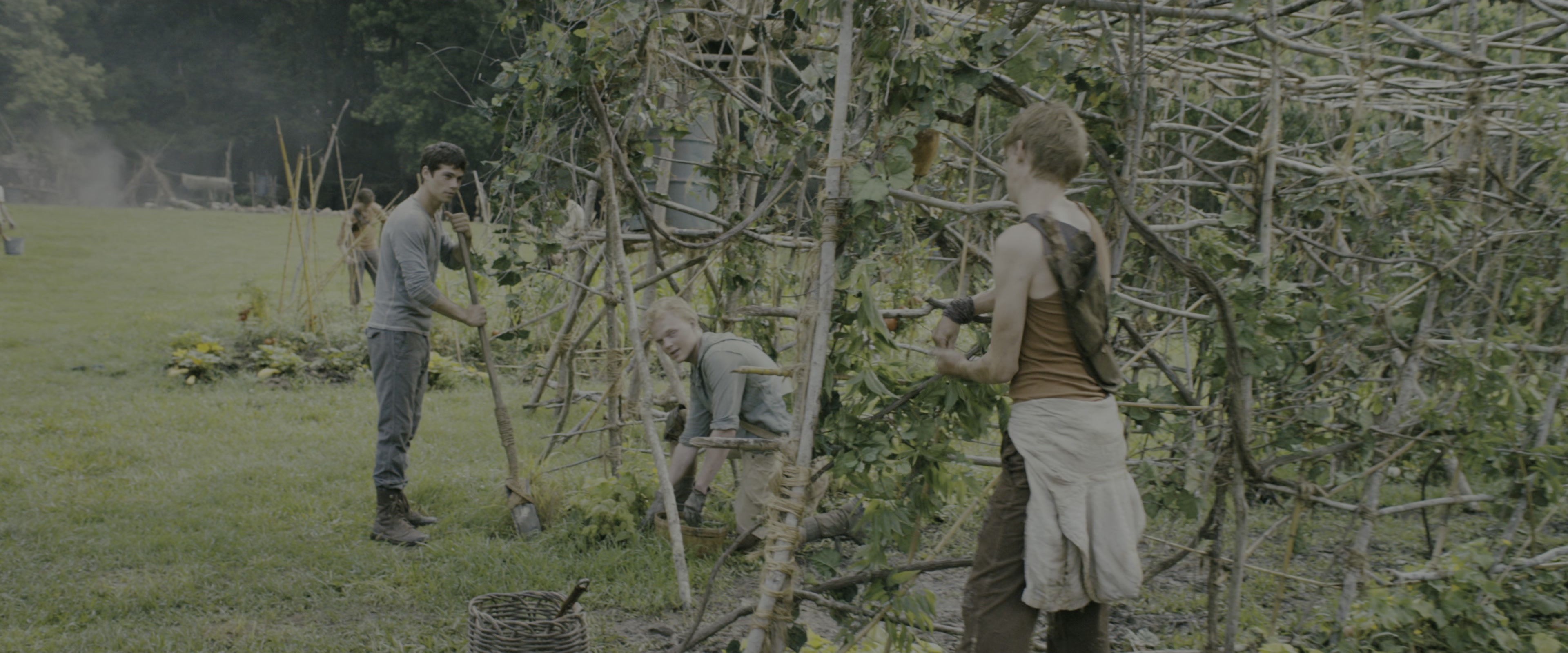 The Maze Runner (2014), wide, 2.40:1 — film still