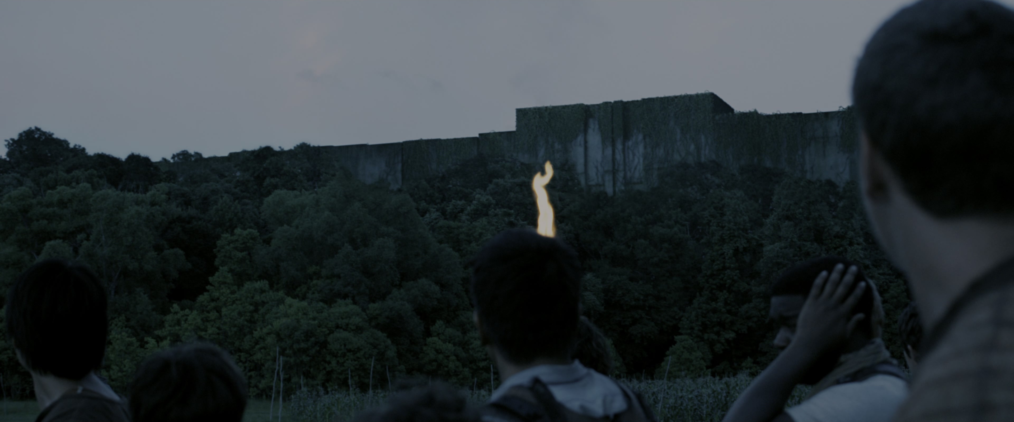 The Maze Runner (2014), wide, 2.40:1 — film still