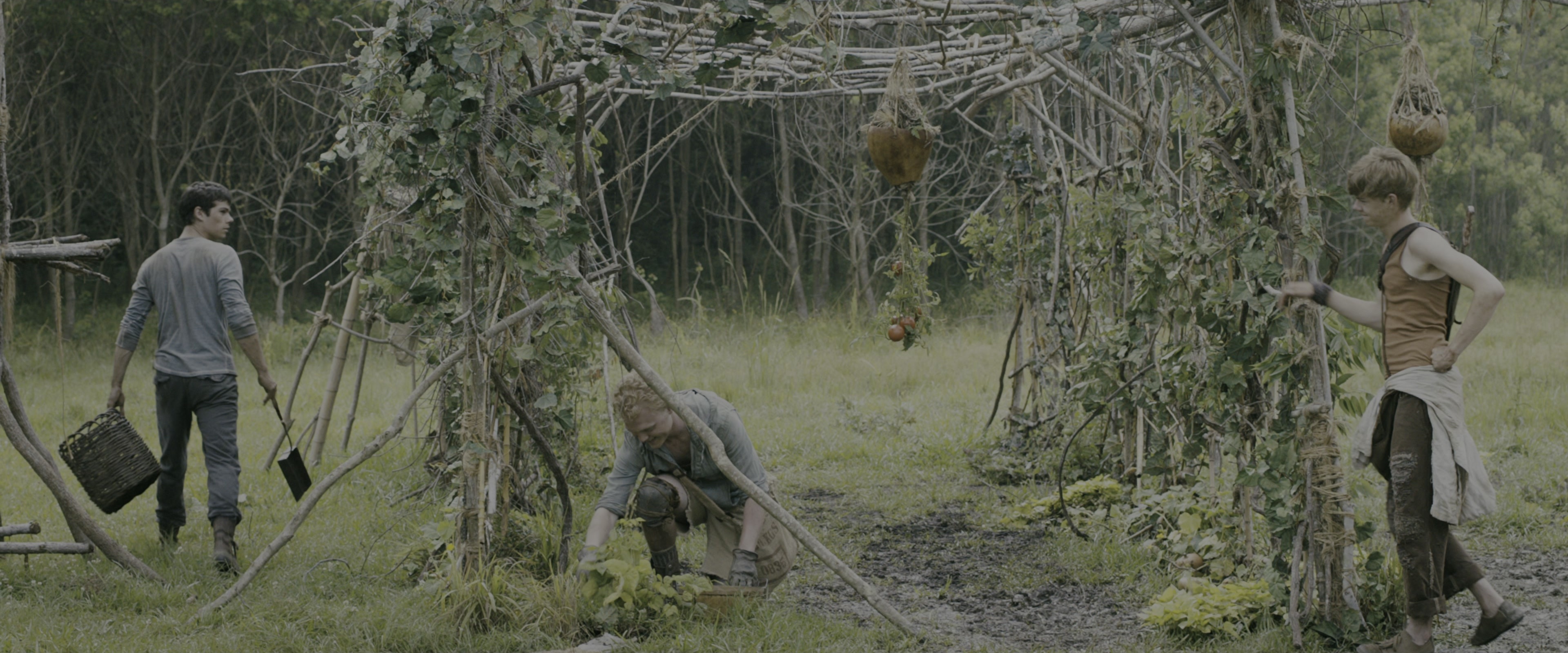 The Maze Runner (2014), wide, 2.40:1 — film still