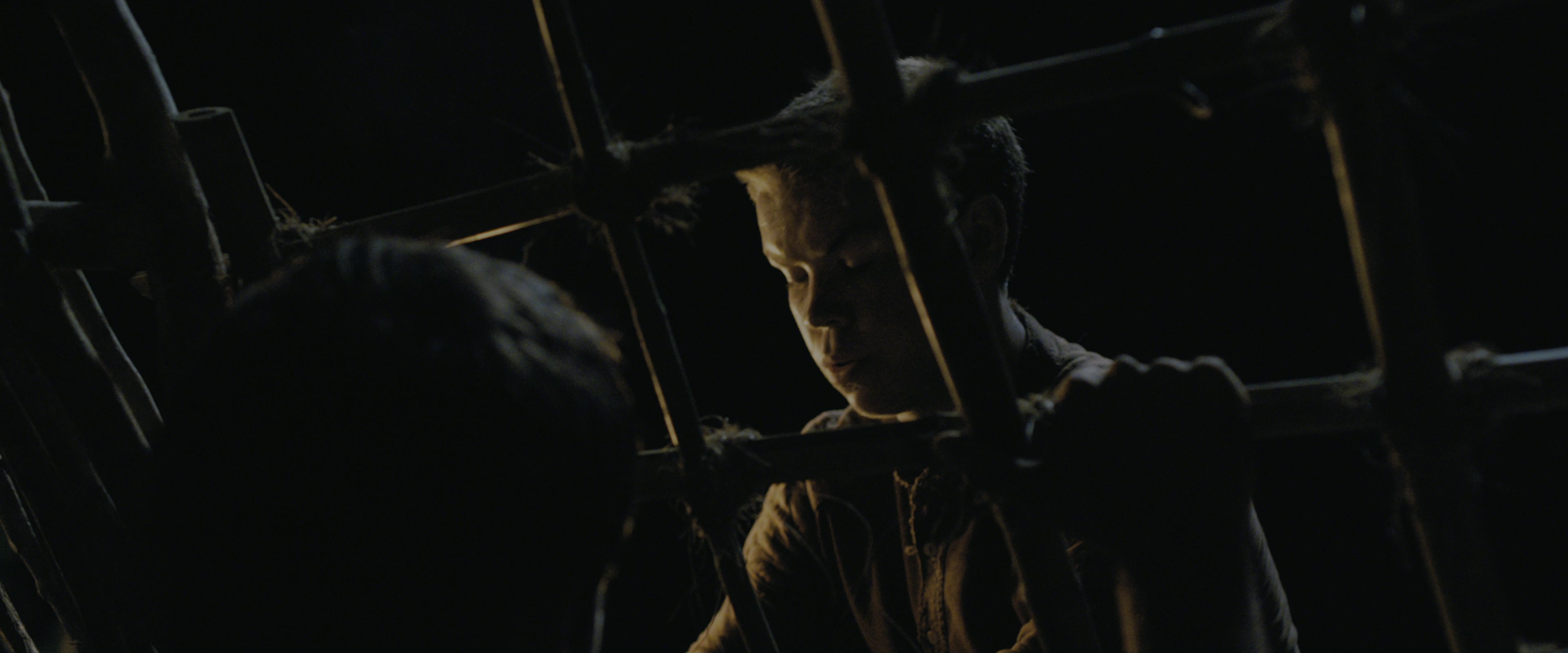 The Maze Runner (2014), wide, 2.40:1 — film still