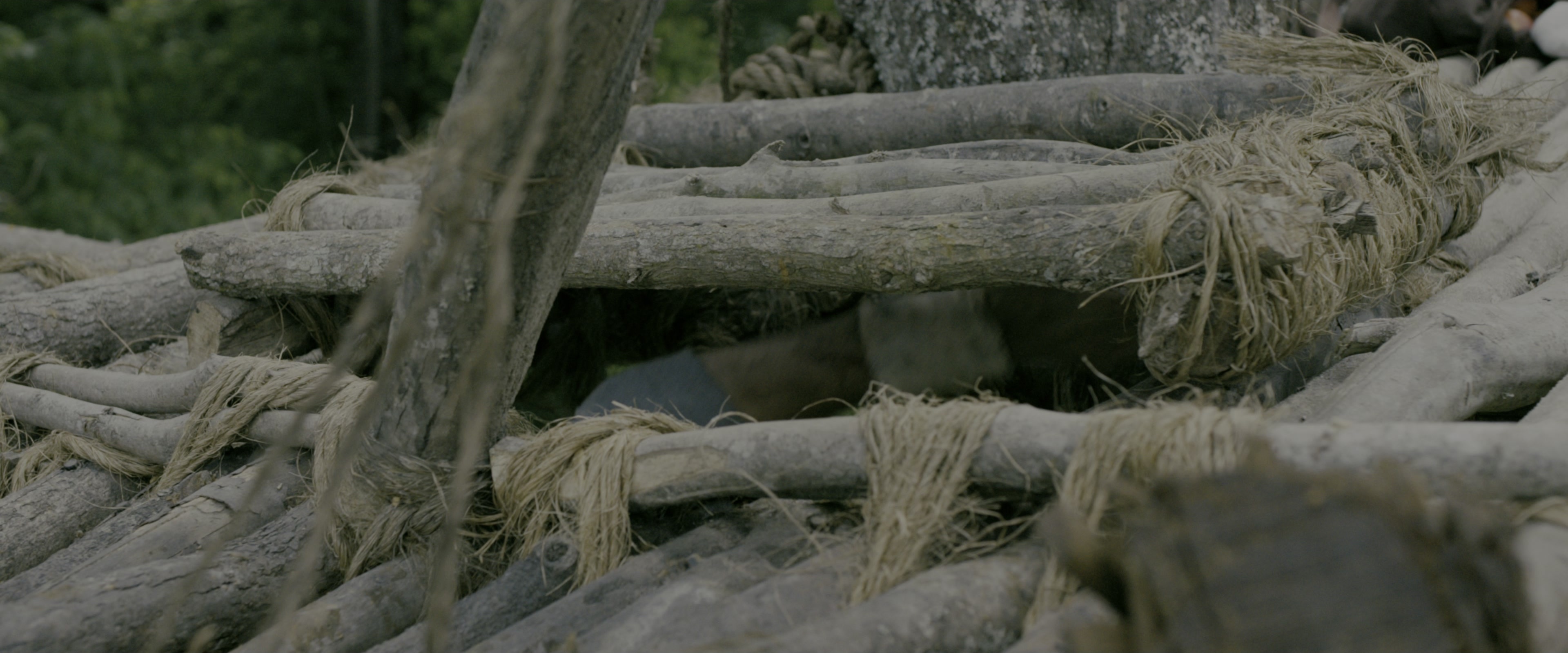 The Maze Runner (2014), wide, 2.40:1 — film still