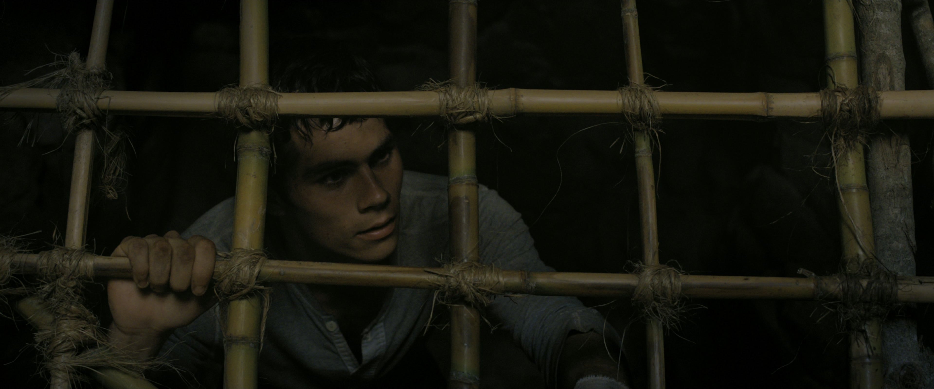 The Maze Runner (2014), wide, 2.40:1 — film still