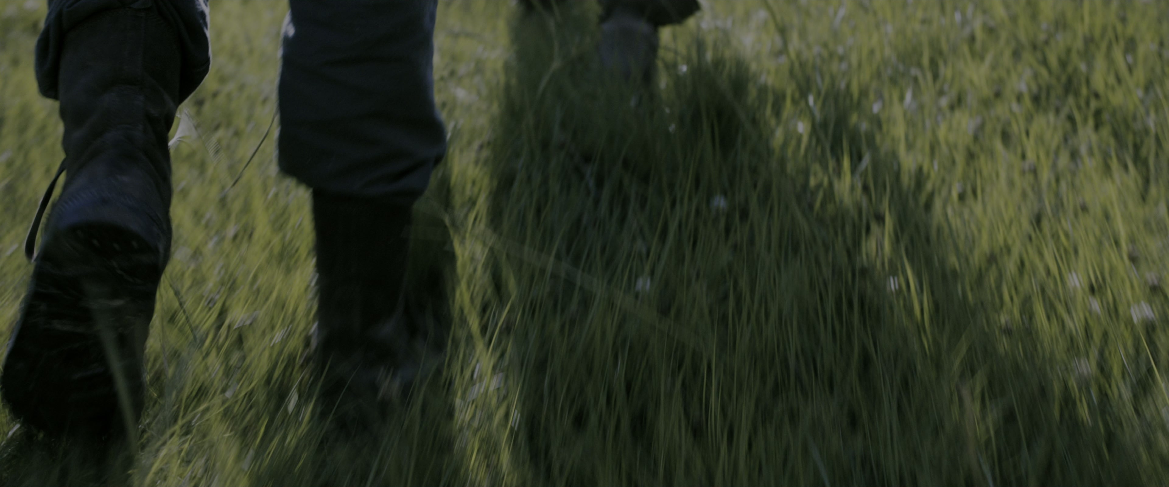 The Maze Runner (2014), wide, 2.40:1 — film still