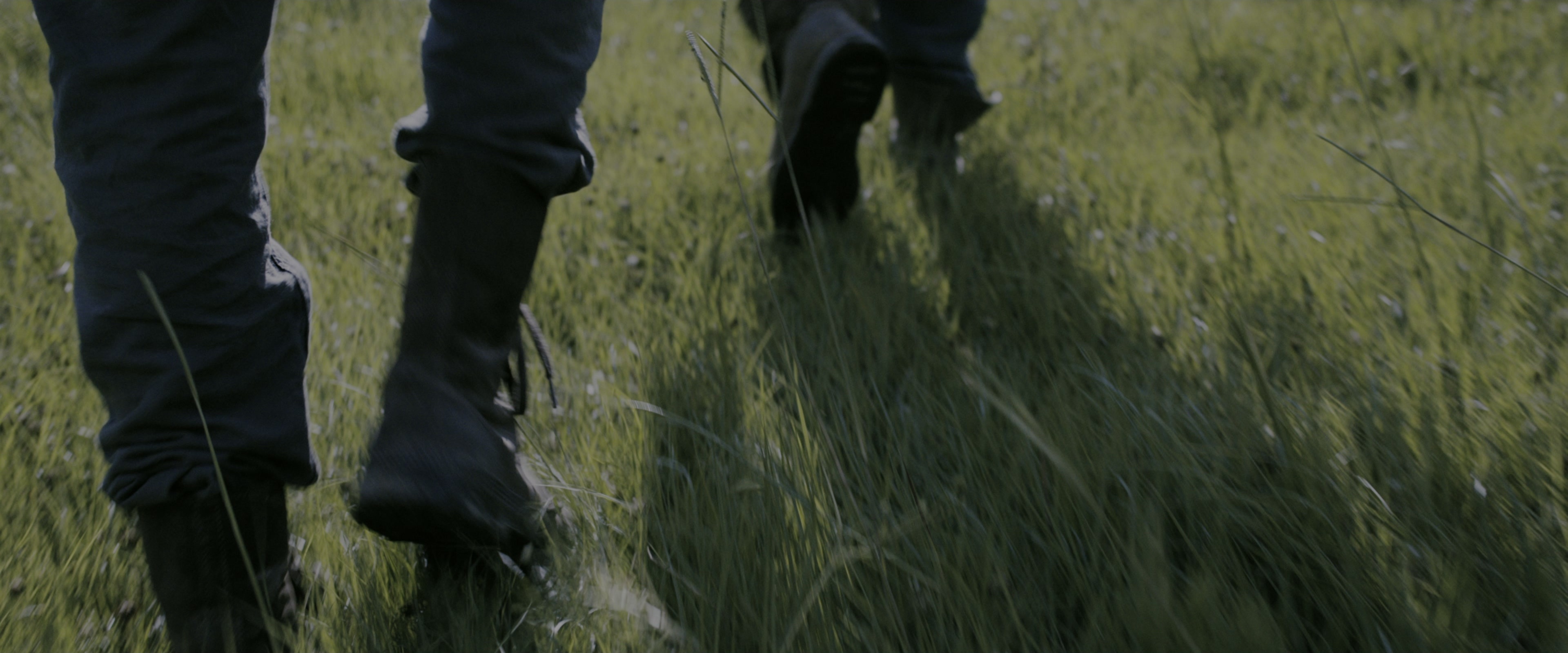 The Maze Runner (2014), wide, 2.40:1 — film still