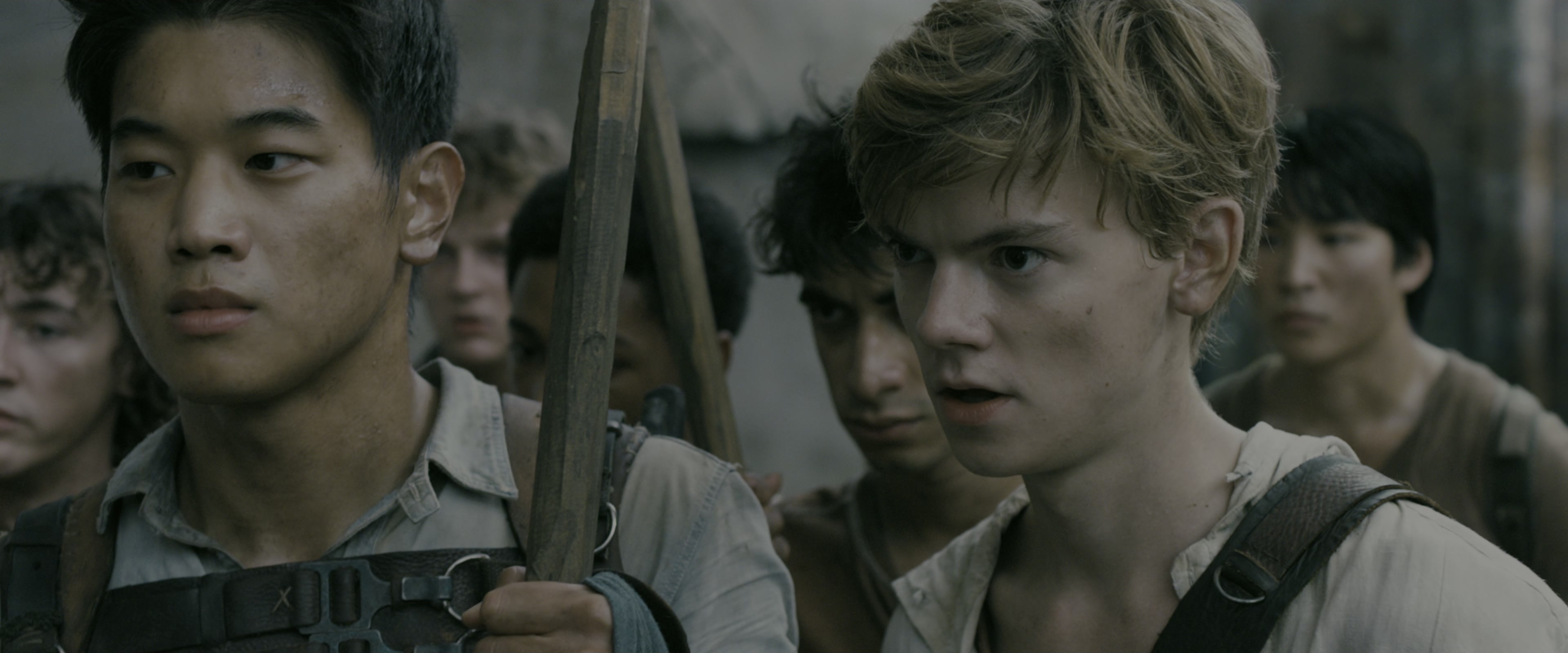 The Maze Runner (2014), medium, 2.40:1 — film still