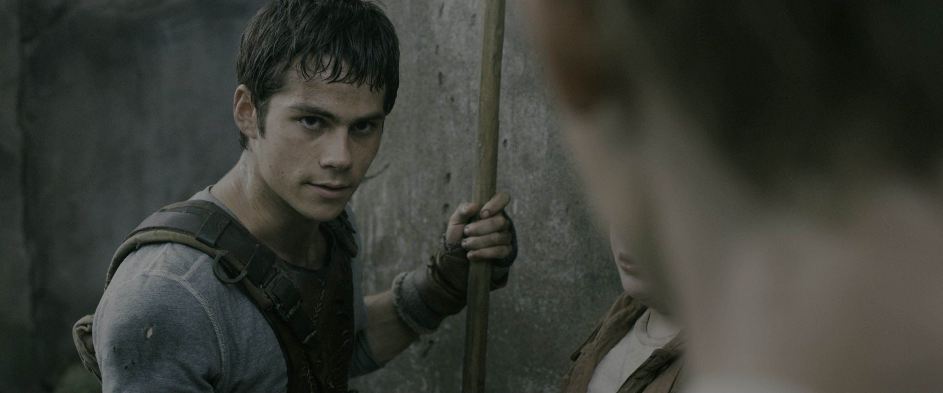 The Maze Runner (2014), medium, 2.40:1 — film still